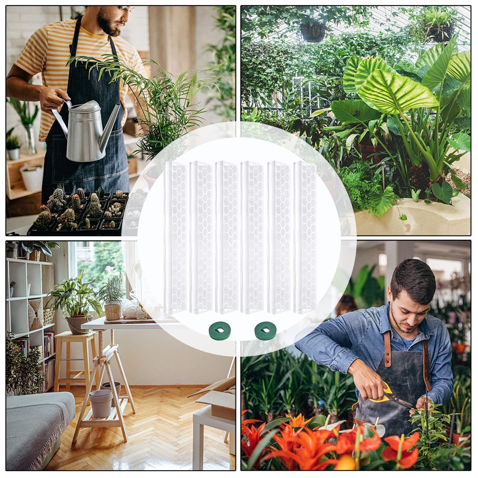 Poteau De Monstera Tuteur En Mousse | Support pour s grimpantes Destiné Aux Passionnés De s Cultivateurs Balcon Bureau À Domicile Café Appartement Salon Chambre