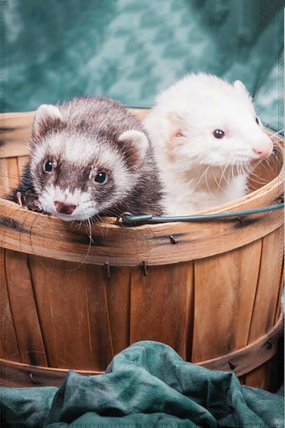 Ferrets Jigsaw Puzzle for Adults 1000 Pieces Wood Puzzle Art DIY Toy Gift Fun Challenging Educational Gift Art Home Decor