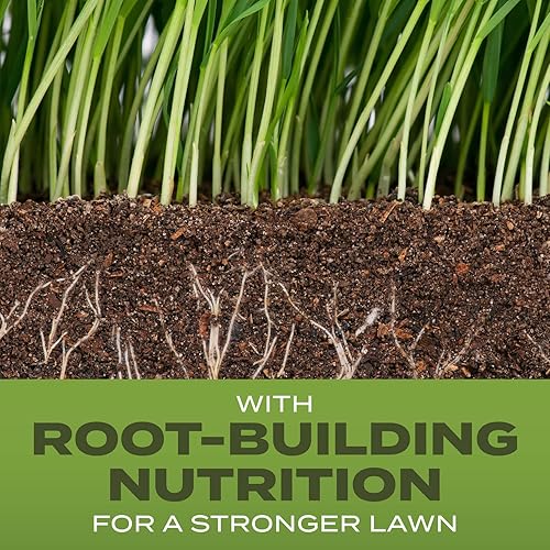 Miniatura 2 de Scotts Turf Builder - Mezcla de festuca alta con fertilizante y mejorador de suelo, resiste condiciones duras, 5.6 libras.