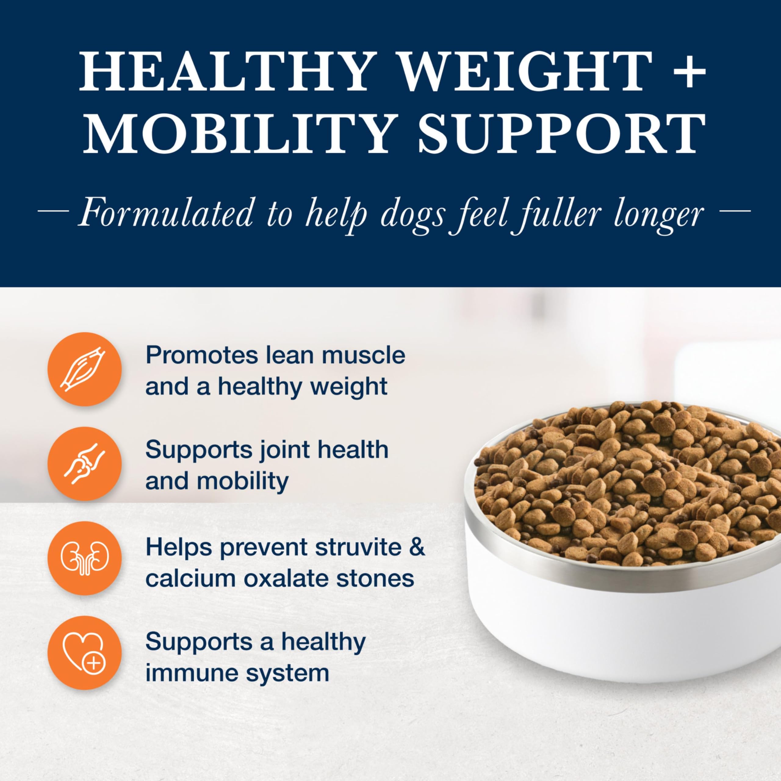 dachshund royal canin dog food Royal Canin Breed Health Nutrition Dachshund Puppy Dry Dog Food  Lees' Feed  & Western