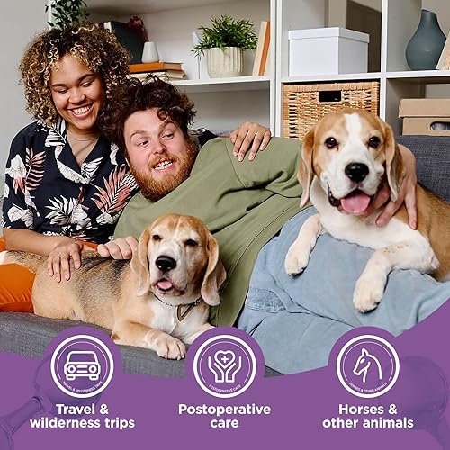 Miniatura 7 de HICC Groom! - Spray hipocloroso para aliviar la picazón, tratamiento de puntos calientes para perros y gatos, alivia la picazón en la piel seca,