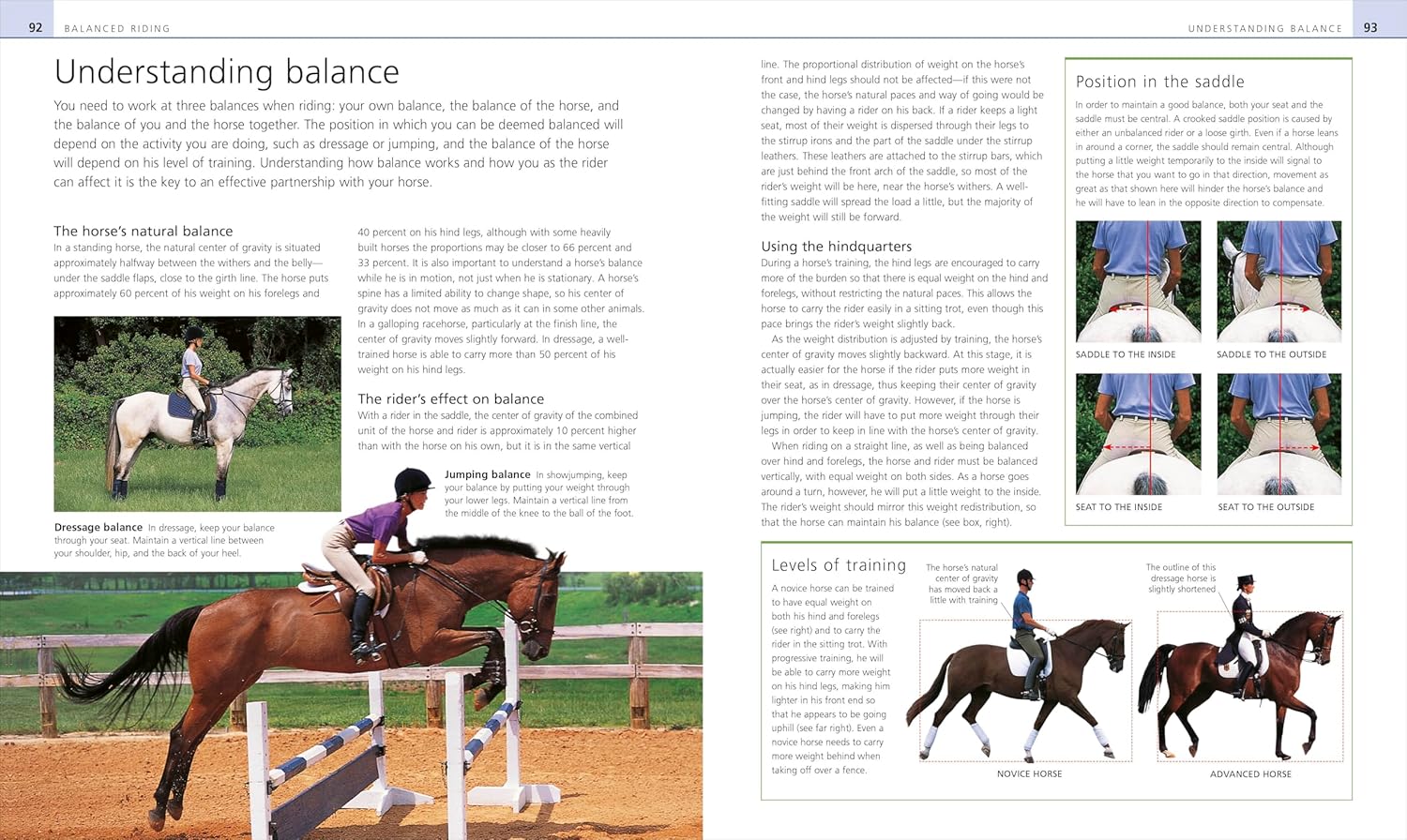 Complete Horse Riding Manual (DK Complete Manuals) - Image 5