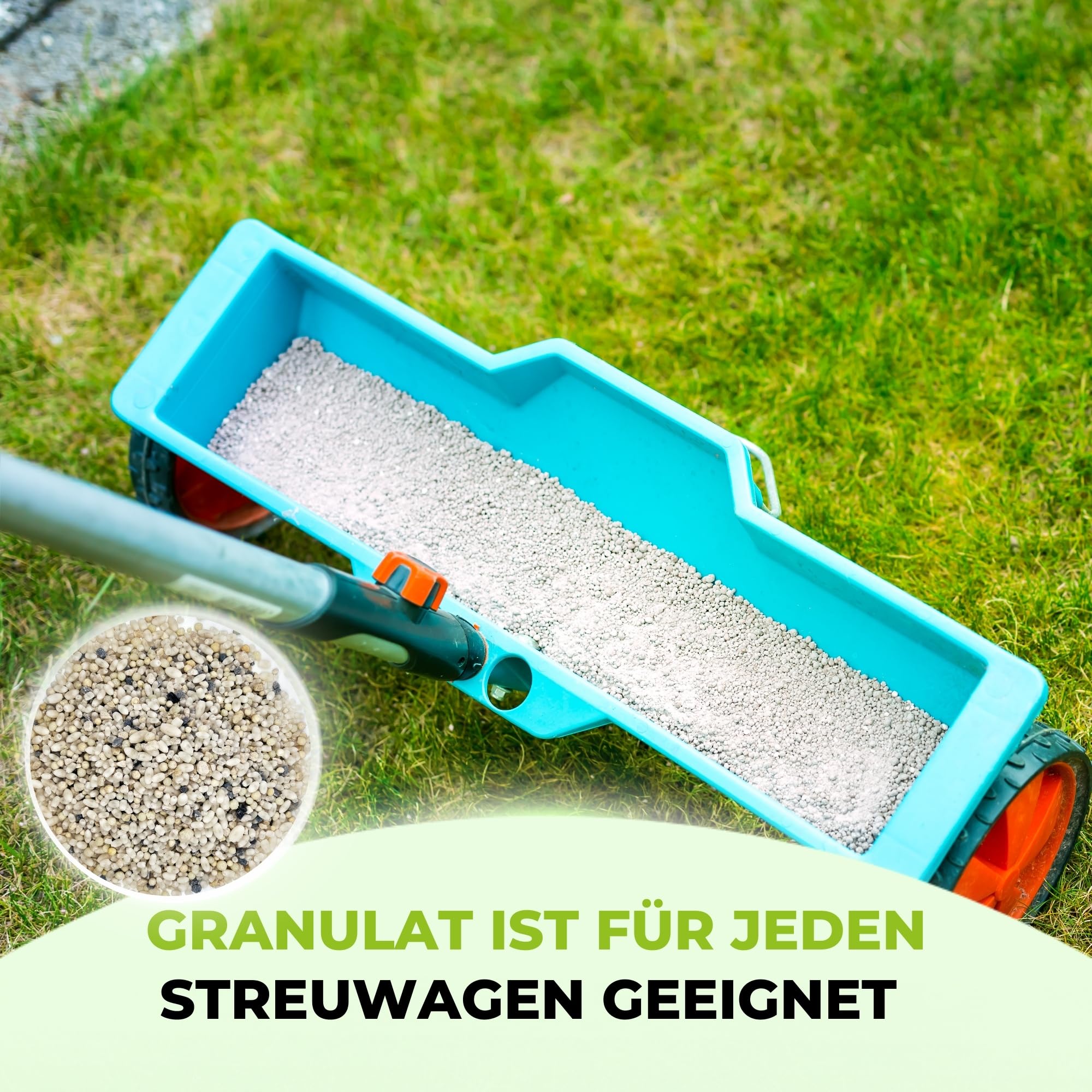 TerraUno Premium Herbstdünger Rasen, gesunder Rasen verdrängt Moos & Unkraut, Rasendünger Herbst mit 60 Tage Langzeitwirkung, 20 kg für 1000 m², Herbstrasendünger, Sofortwirkung, extra starkes Grün