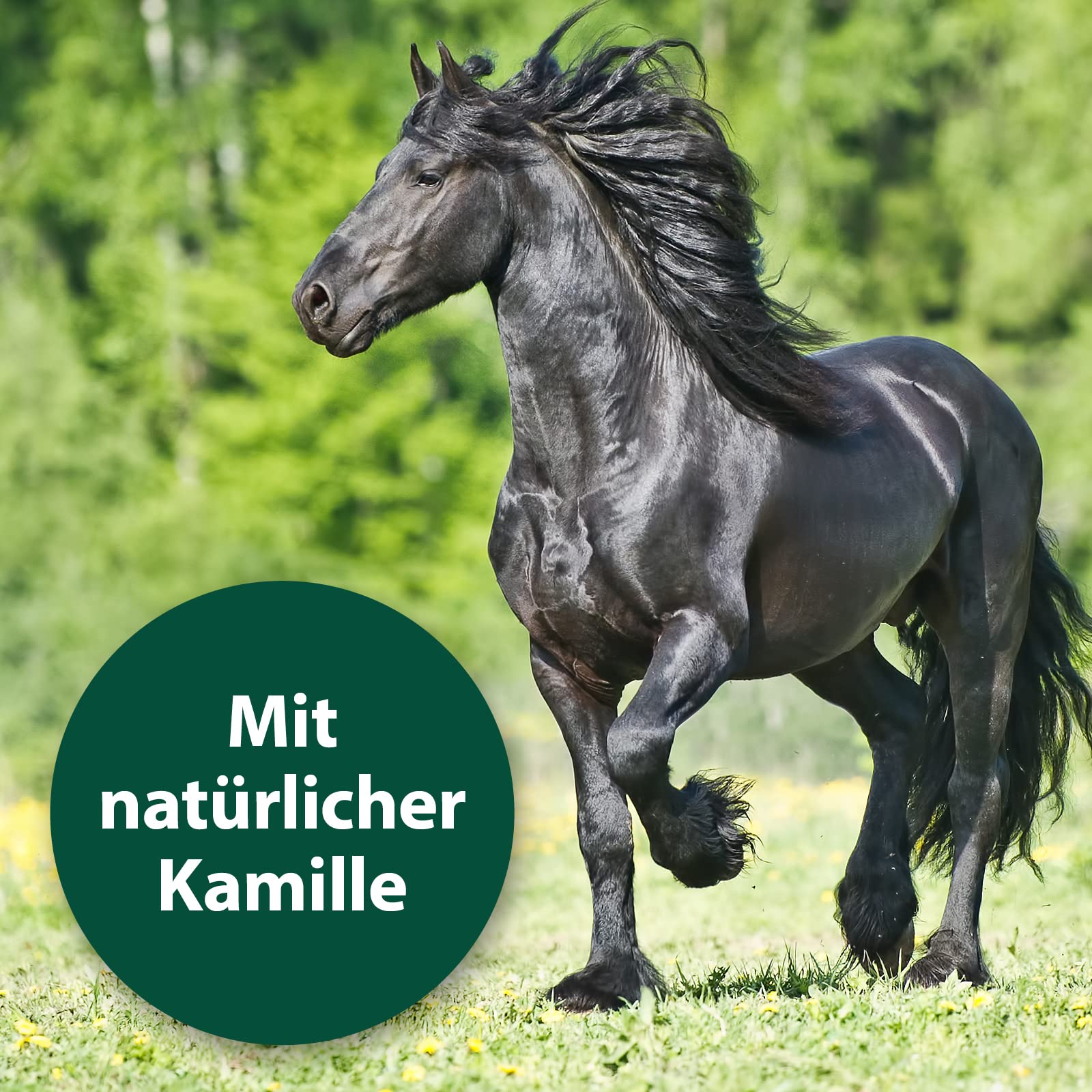 Equisept Cuidado de la Cola y la Melena, 500 ml, con Aceite de manzanilla Natural, Spray de Cola y Spray para Melena para Caballos, Brillo de Pelo Sedoso, fácil de peinar, sin dopaje