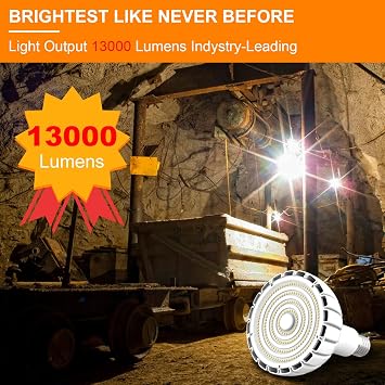 iodoo 100 W E27 Neutral White (Equivalent to 800 W Bulb) with E40 Adapter
