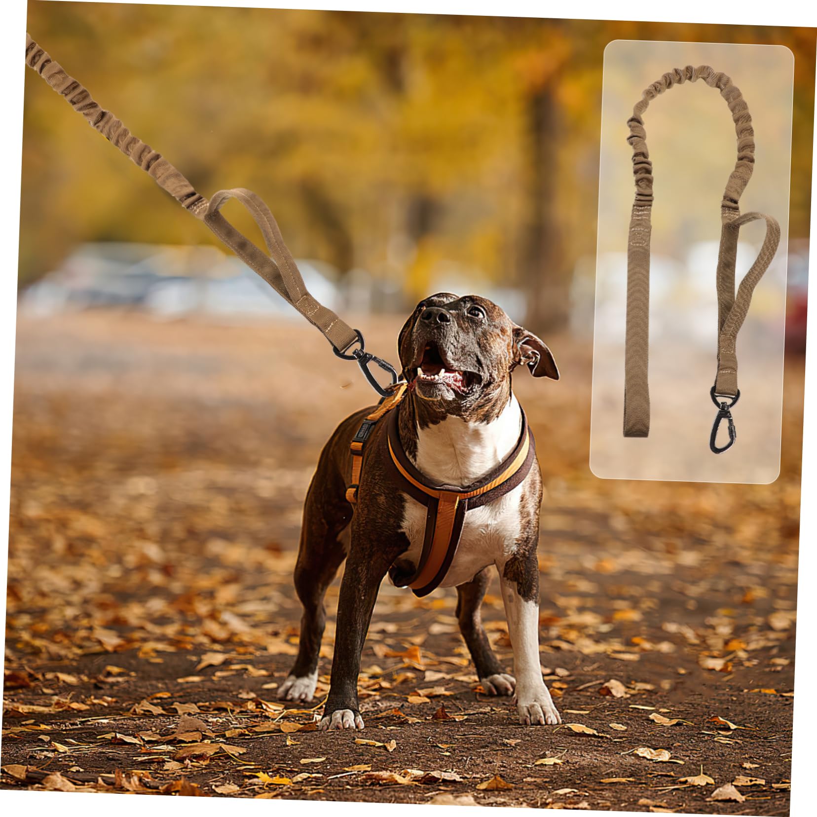 Beaupretty Lot De 3 Laisses Réglables en Nylon pour Dressage De Chiens avec Clip Sécurisé Et Poignée Confortable pour La Promenade Et Lentraînement du Chien