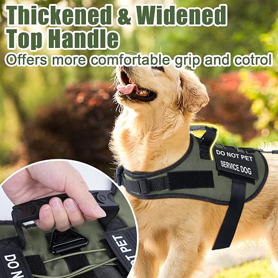 No Pull Dog Harness for Large Medium Sized Dogs, Service Dog Harness and Leash Set with 4 Patches, Adjustable Easy Walk Dogs Harnesses with Handle, Dogs Vest Harnesses for Training (Green, XL)