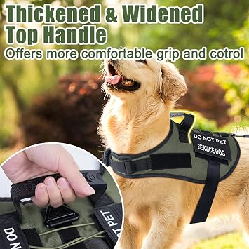 No Pull Dog Harness for Large Medium Sized Dogs, Service Dog Harness and Leash Set with 4 Patches, Adjustable Easy Walk Dogs Harnesses with Handle, Dogs Vest Harnesses for Training (Green, XL)