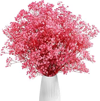 Dried Babys Breath Flowers Pink, 17inch Dried Natural Flowers Babys Breath Bulk with 3000 Buds, Real Dry Gypsophila for Wedding, Party, Wreath Floral DIY, Home Decor