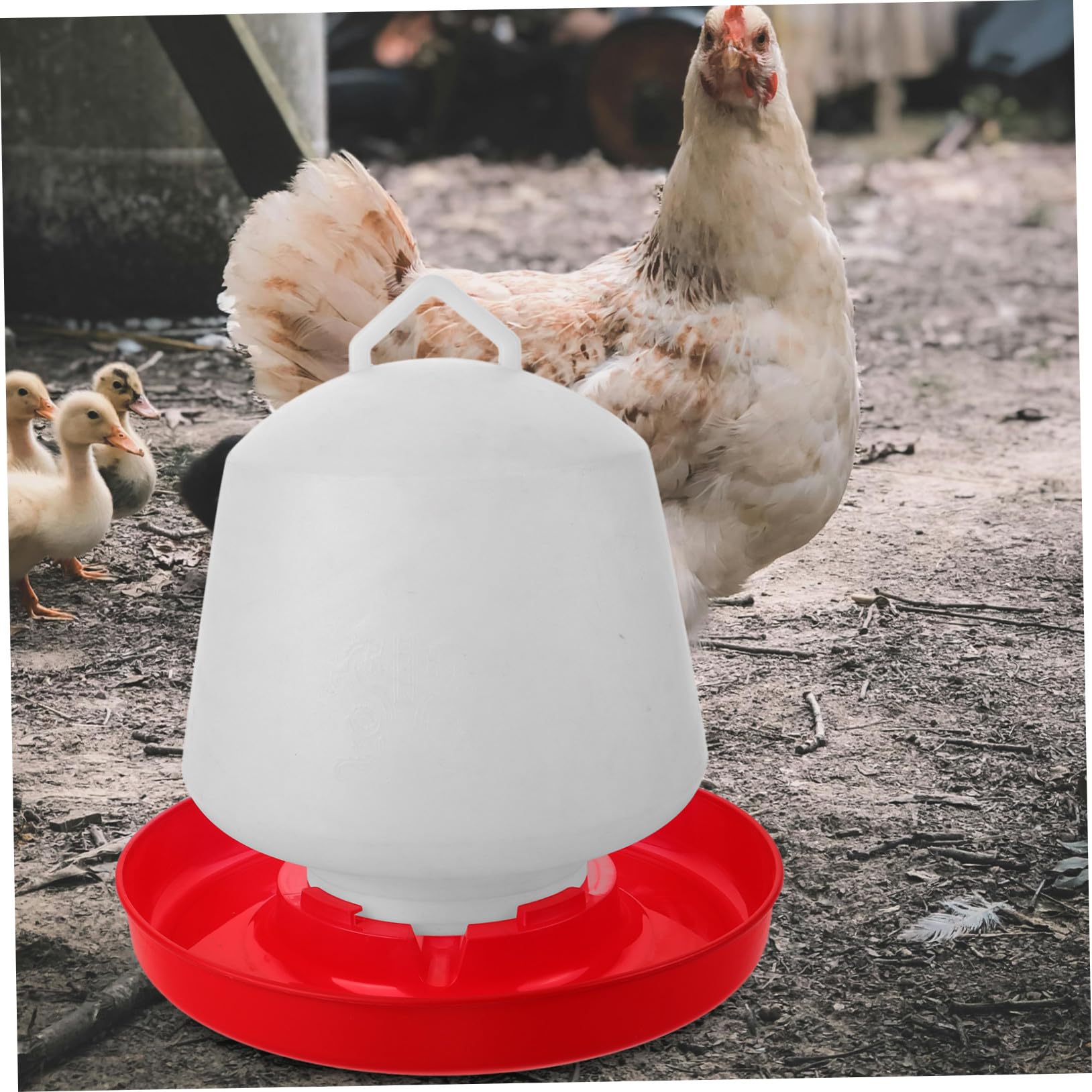 POPETPOP Mangiatoia per Pollame Portatile in Resistente Facile da Pulire e Installare Contenitore Stabile per Alimenti per Galline e Pulcini Protezione Anti-sporco per Uso Domestico e