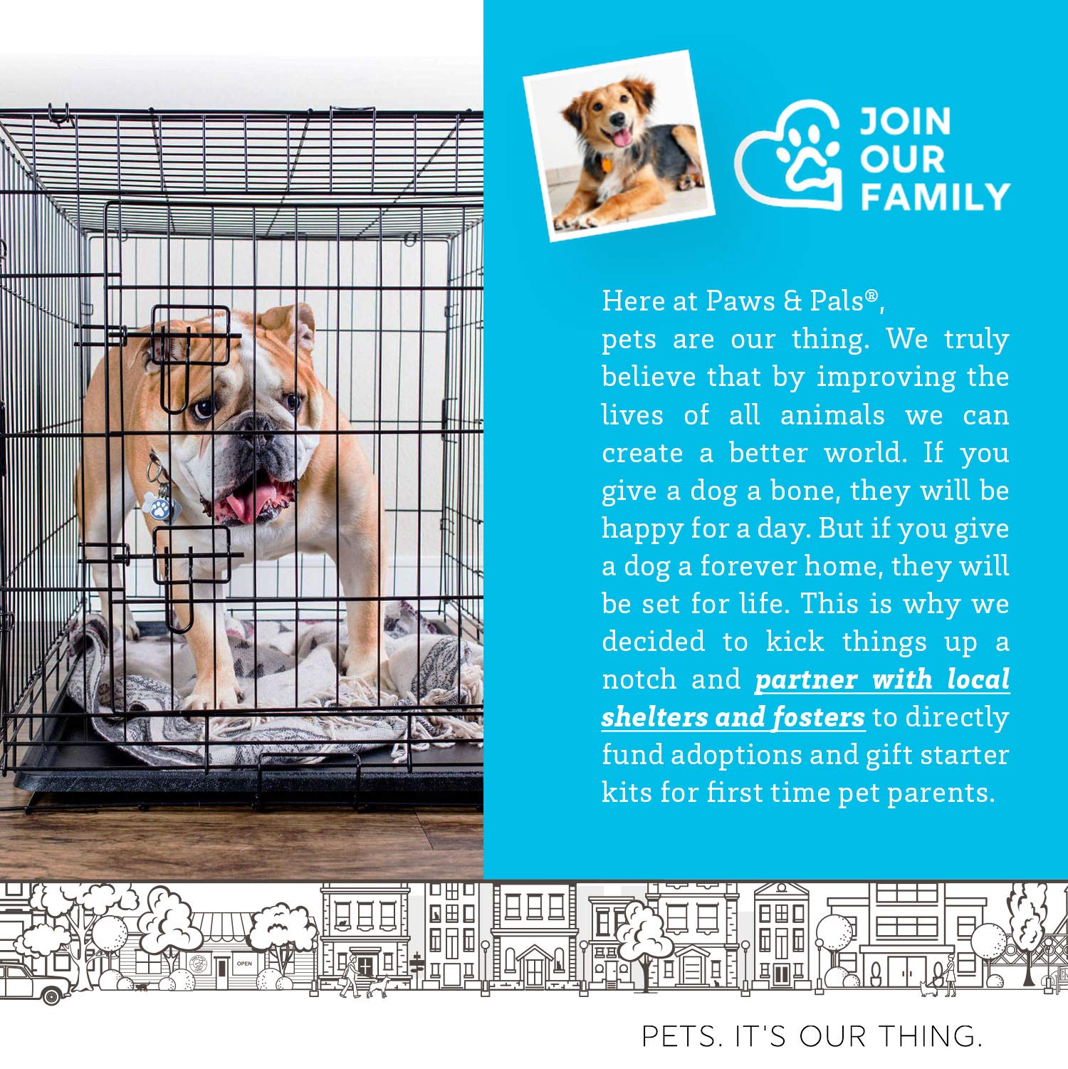 What Size Cage For American Bulldog