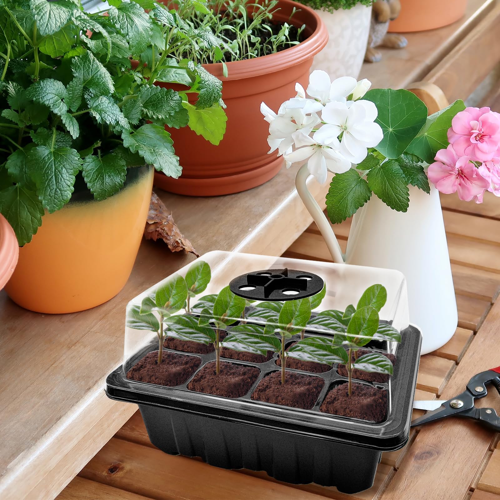 Mini Serre Avec Lumière De Croissance MYMULIKE - 6 Plateaux Auto Irrigation 72 Cellules M 799102