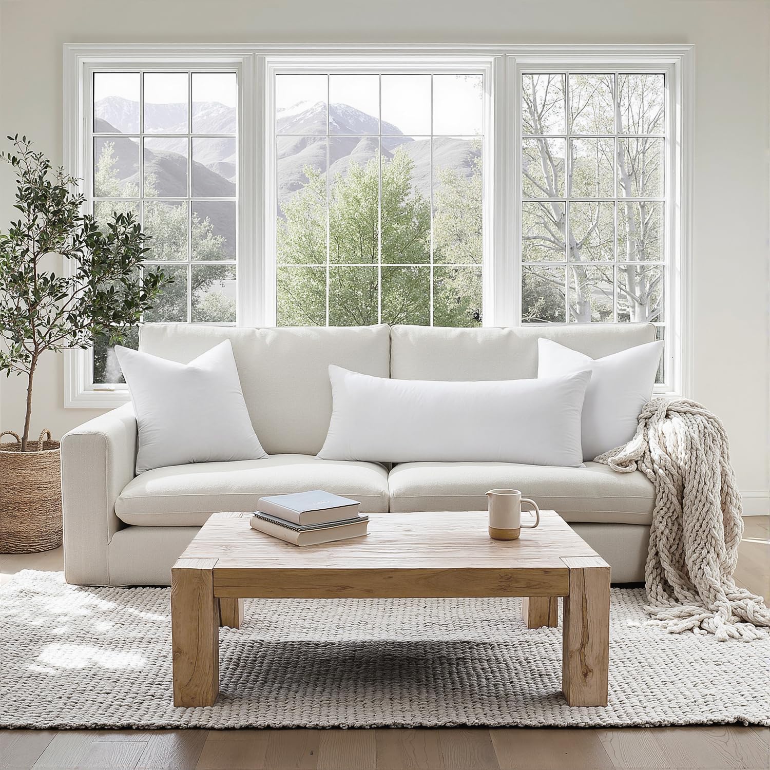 MIULEE 30 x 30 Goose Feather Down Euro Pillow with 100% Cotton Cover, Set of 1 Soft Fluffy Decorative Pillow Insert for Sofa Bed Couch Living Room White - Image 3