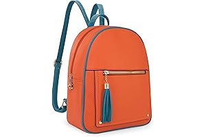 Smanll Designer Backpack Purse for Women Anti Theft Backpack