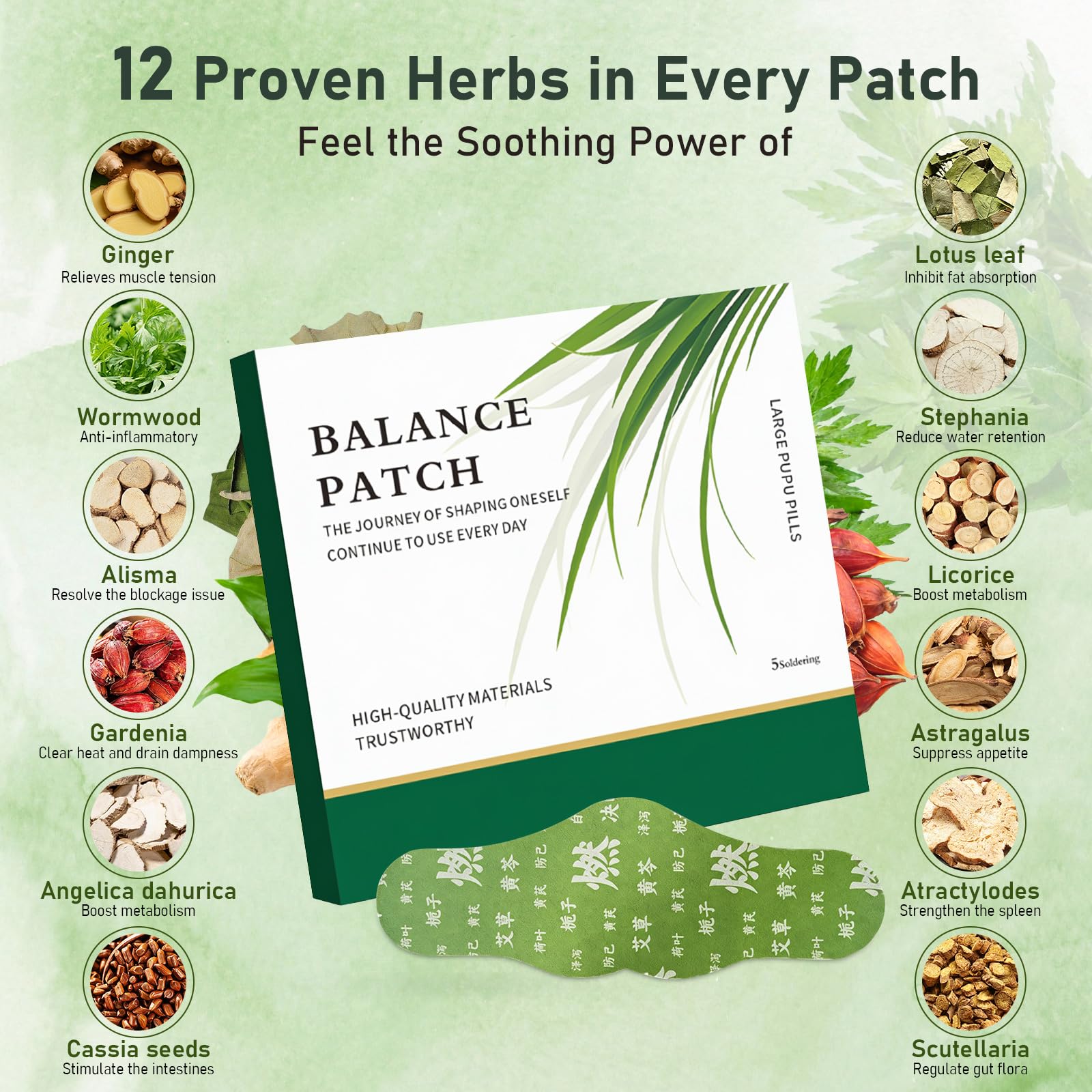 Herbal Patch Pad Balance - Beifuß Kräuternabel Pflaster zur Linderung von Menstruationskrämpfen, unterstützt reduzierte Blähungen, fördert den Bauchkomfort, nicht reizendes Design, 1 Boxen, 5 Stück (2