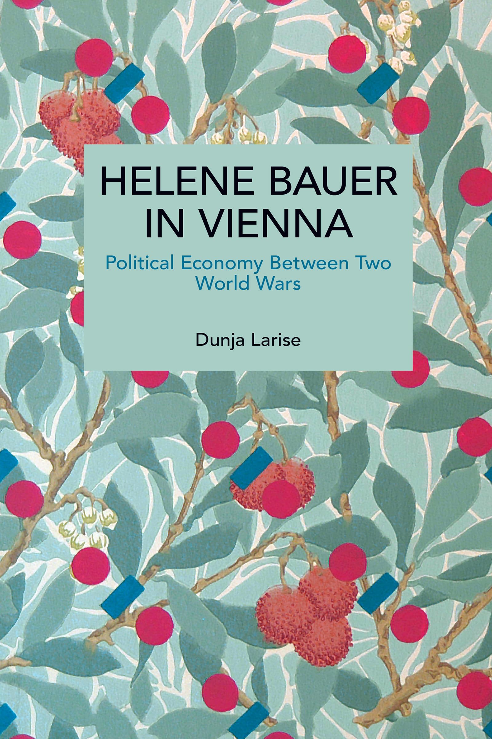 Helene Bauer in Vienna : Political Economy Between Two World Wars