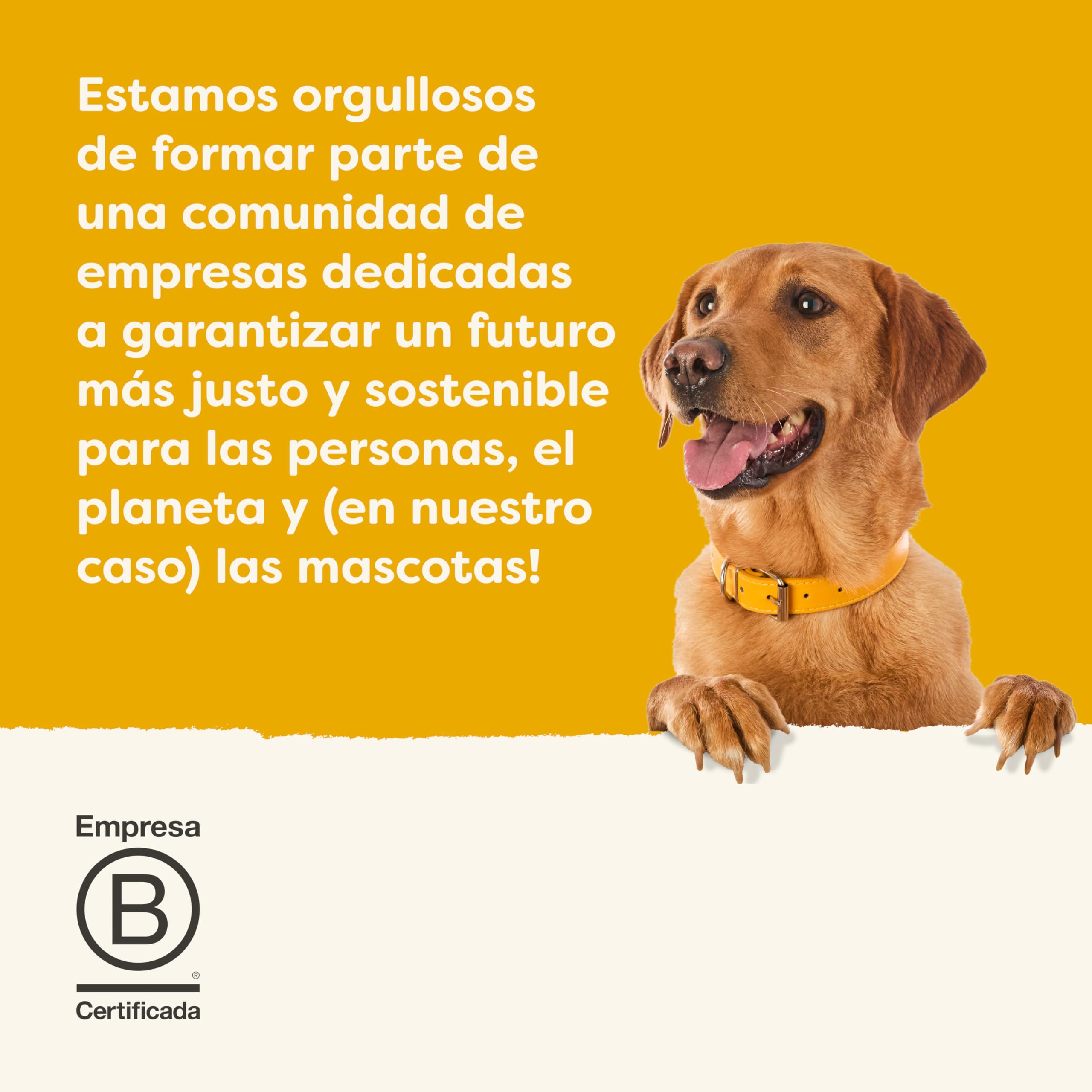 Applaws Comida Húmeda para Perros 100% Natural, Pechuga de Pollo con Calabaza y Verduras en Caldo, Paquete de 12 Latas de 156g