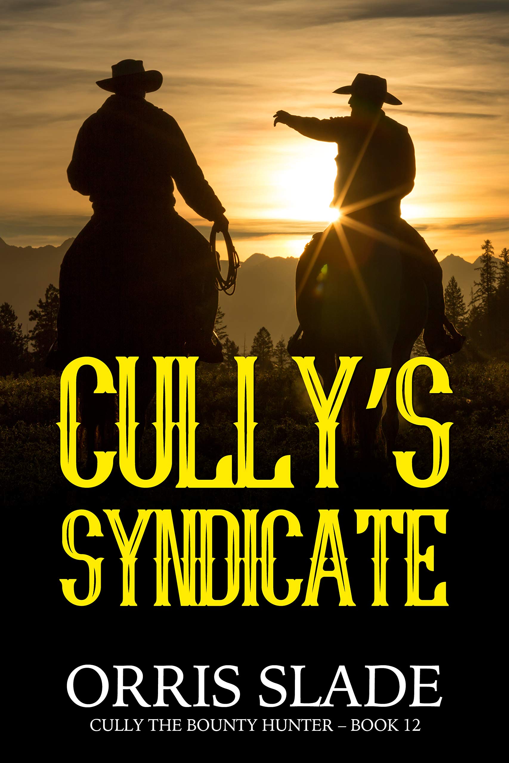 Cully's Syndicate: (Cully the Bounty Hunter - Book 12)