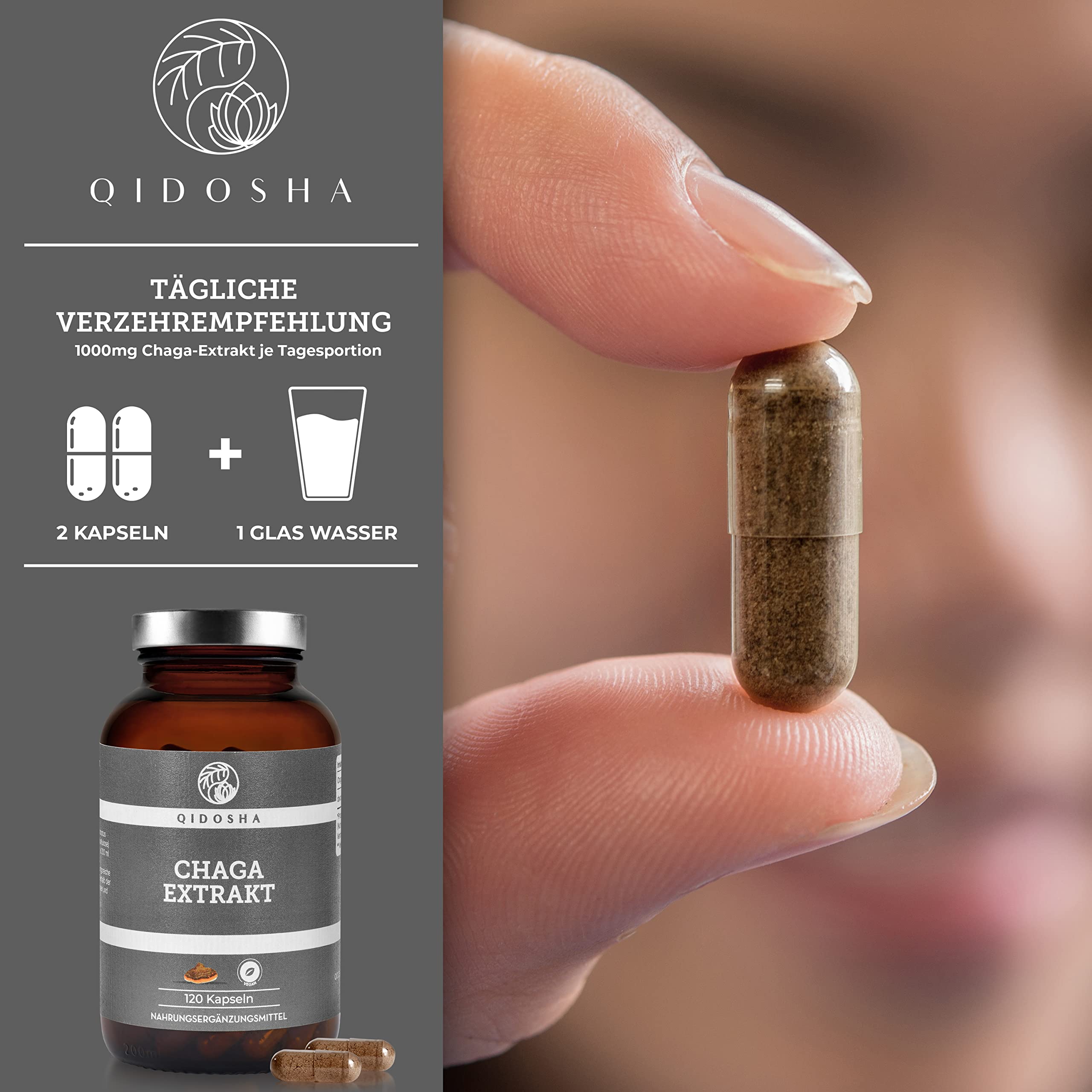 QIDOSHA® Chaga Extrakt Kapseln hochdosiert, 120 Stk im Glas (kein Plastik), 1000 mg Schiefer Schillerporling Extrakt pro Tagesdosis, Chaga Pilz Kapseln hochdosiert, aus Wildsammlung von Birken