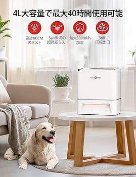 加湿器 卓上 除菌　電解水除菌 超音波 4L 極静音 360度回転 楽天市場】加湿器 卓上 除菌加湿器 第二代 Luwior 電解水除菌 超