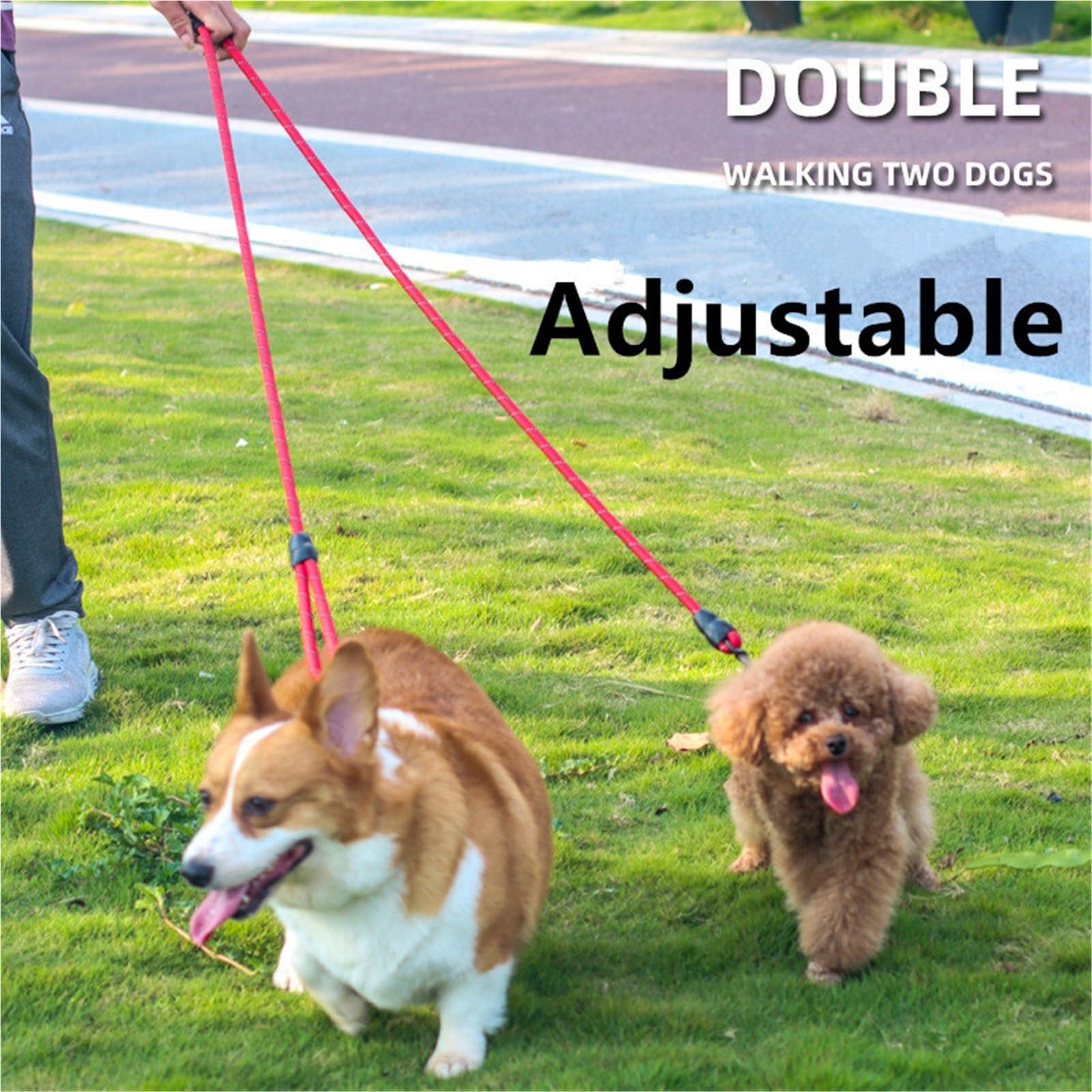 Laisses Mains Libres for Chiens, for Promenade et Course à Pied, Longueur 2,4 m, Doubles laisses réglables pour Ceinture, Running(Orange 1.0x240cm)