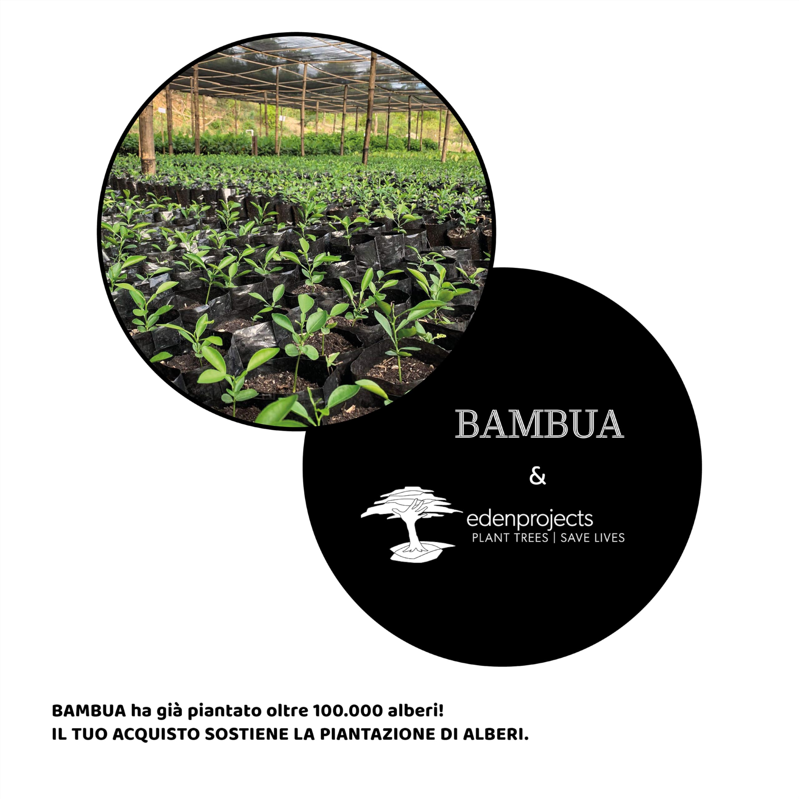 BAMBUA - Massaggiatore Testa Capelli (Manico in bambù) con 24 Dita - Massaggio testa di Alta Qualità per una Sensazione di Relax Sostenibile - Massaggiatore Cuoio Capelluto