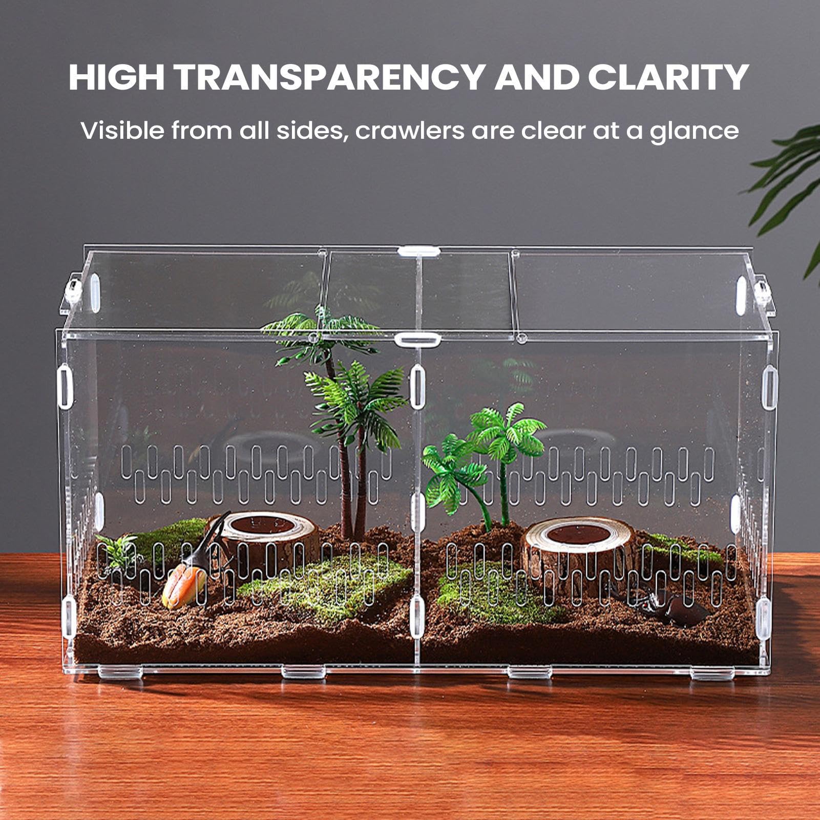 Terrarium Dla Skaczących Pająków Przezroczyste Akrylowe Terrarium