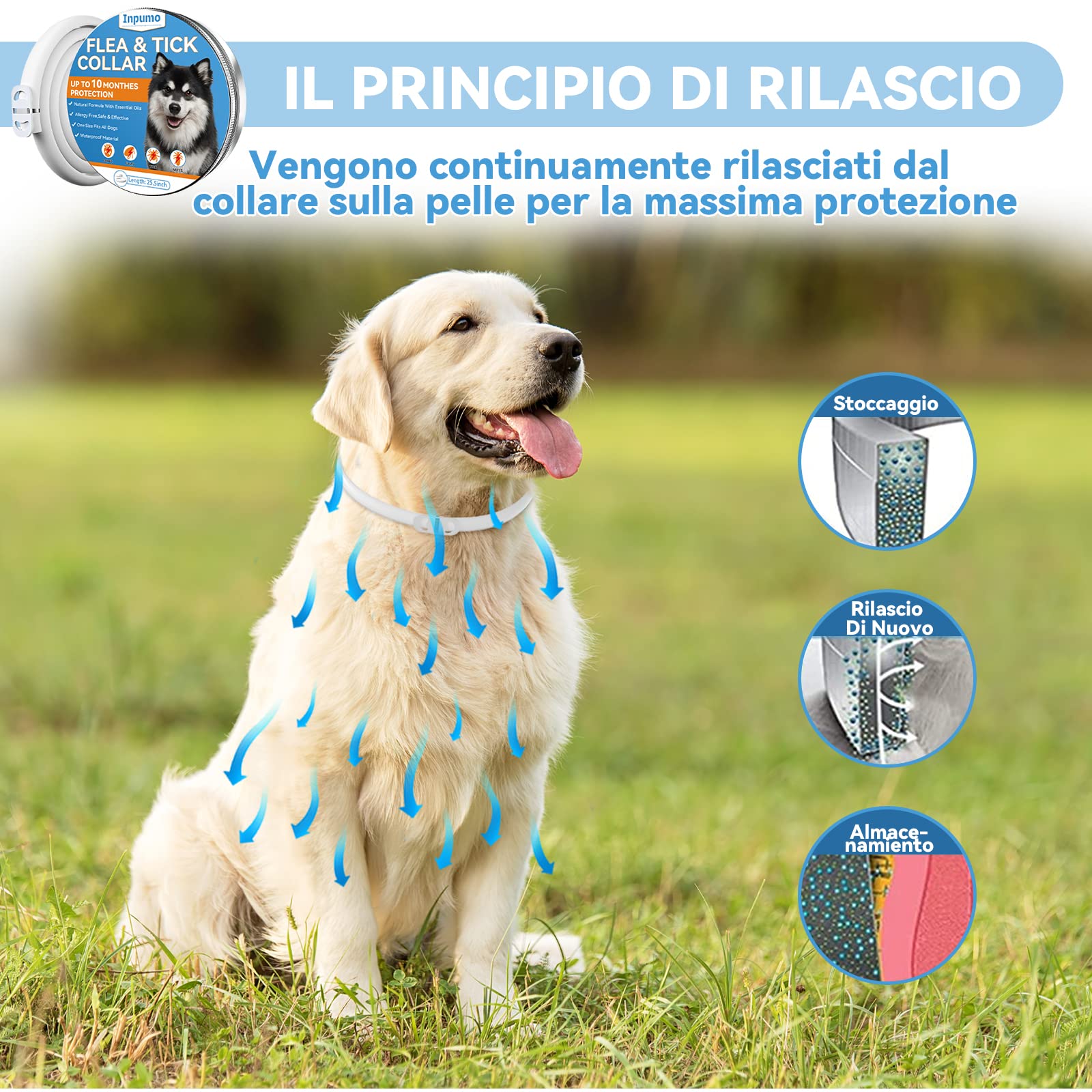Cura Naturale Cani Collare Antiparassitario Naturale Per Cani - Protezione 12 Mesi Contro Pulci E Zecche Collare Cane Antiparassitario - Foto 13