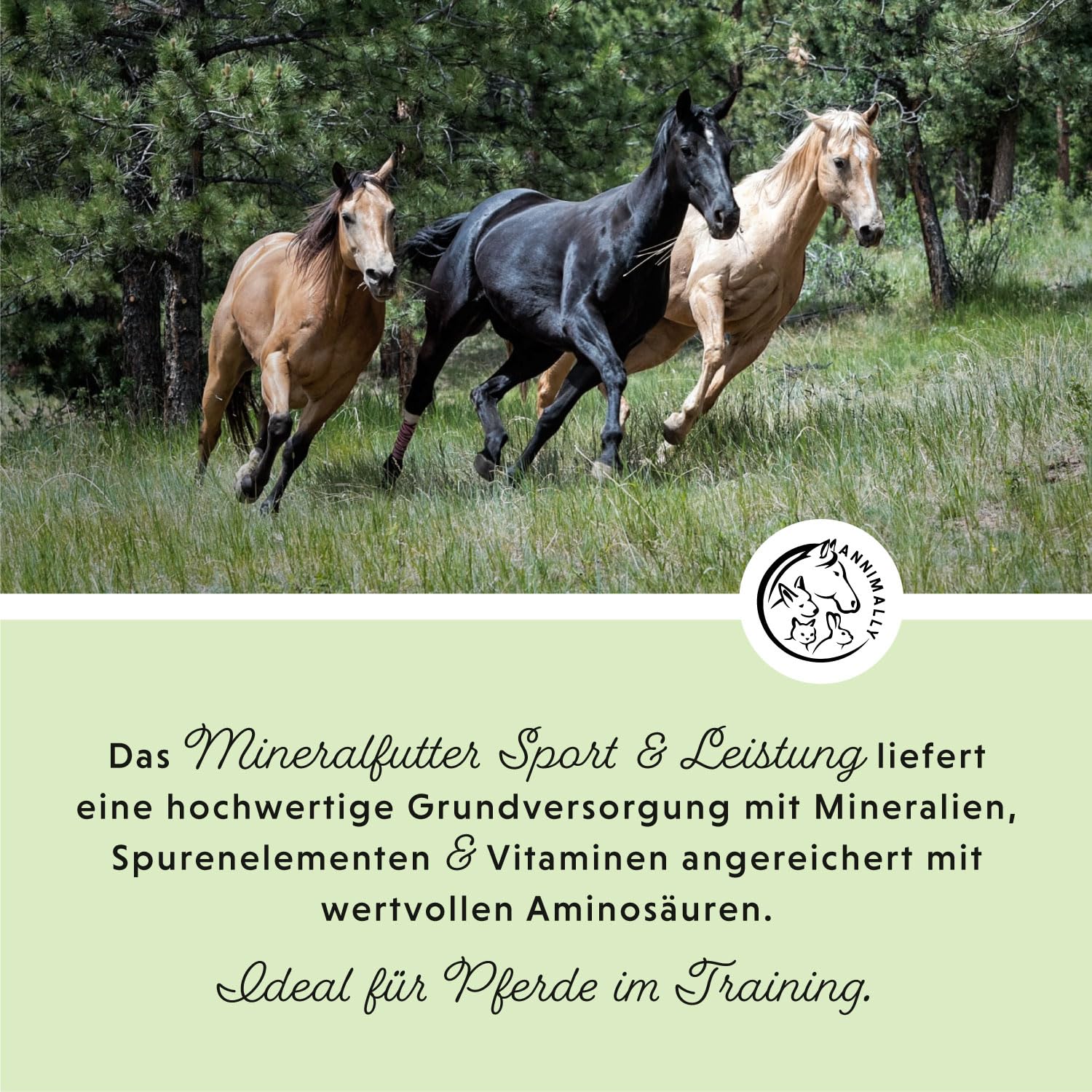 Sport & Leistung Mineralfutter Pferde getreidefrei 6 kg - Ergänzungs Pferdefutter für Pferde mit Aminosäuren, Vitaminen, Mineralstoffen & Spurenelementen, wie Zink, Selen, Omega 3 & Jod