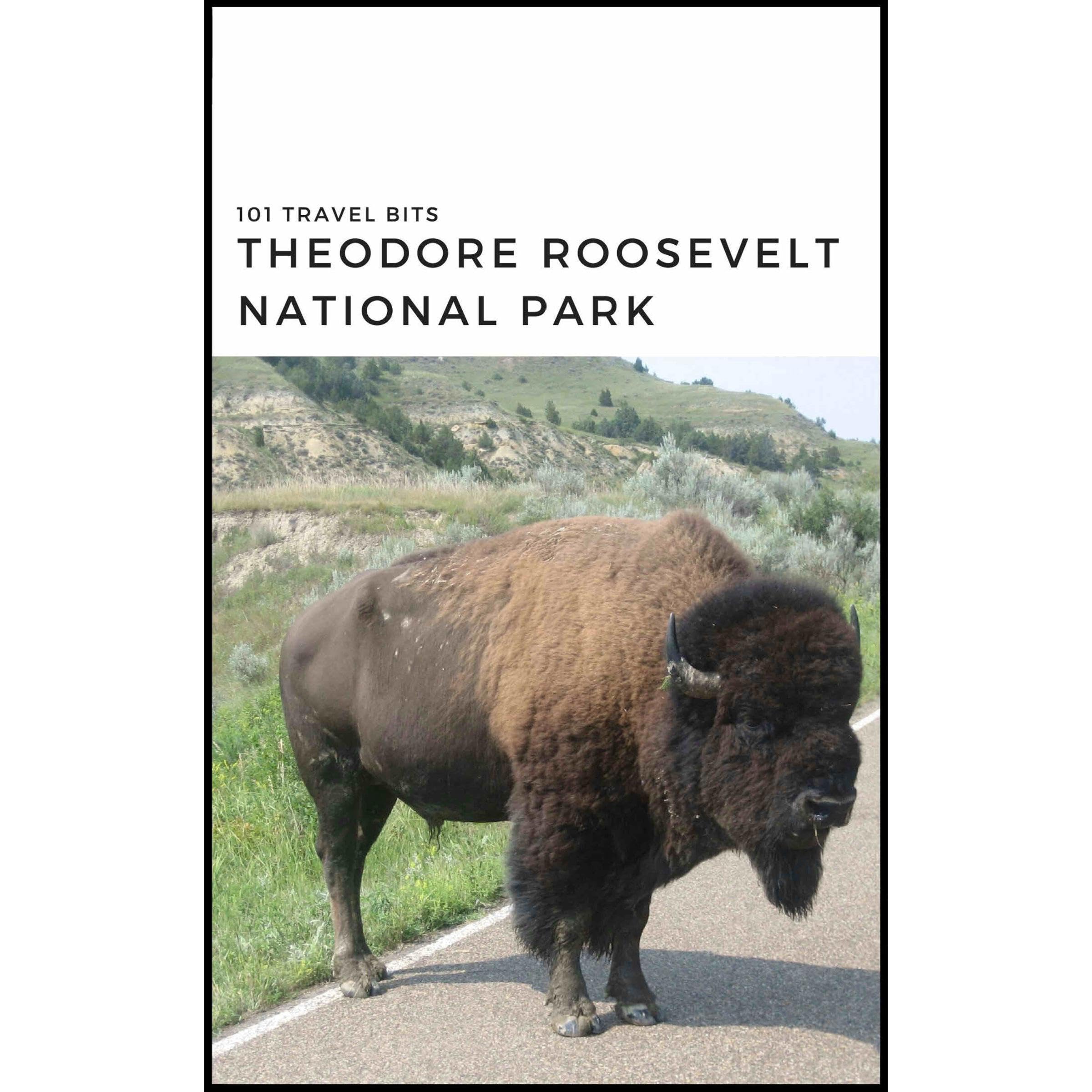 101 Travel Bits: Theodore Roosevelt National Park