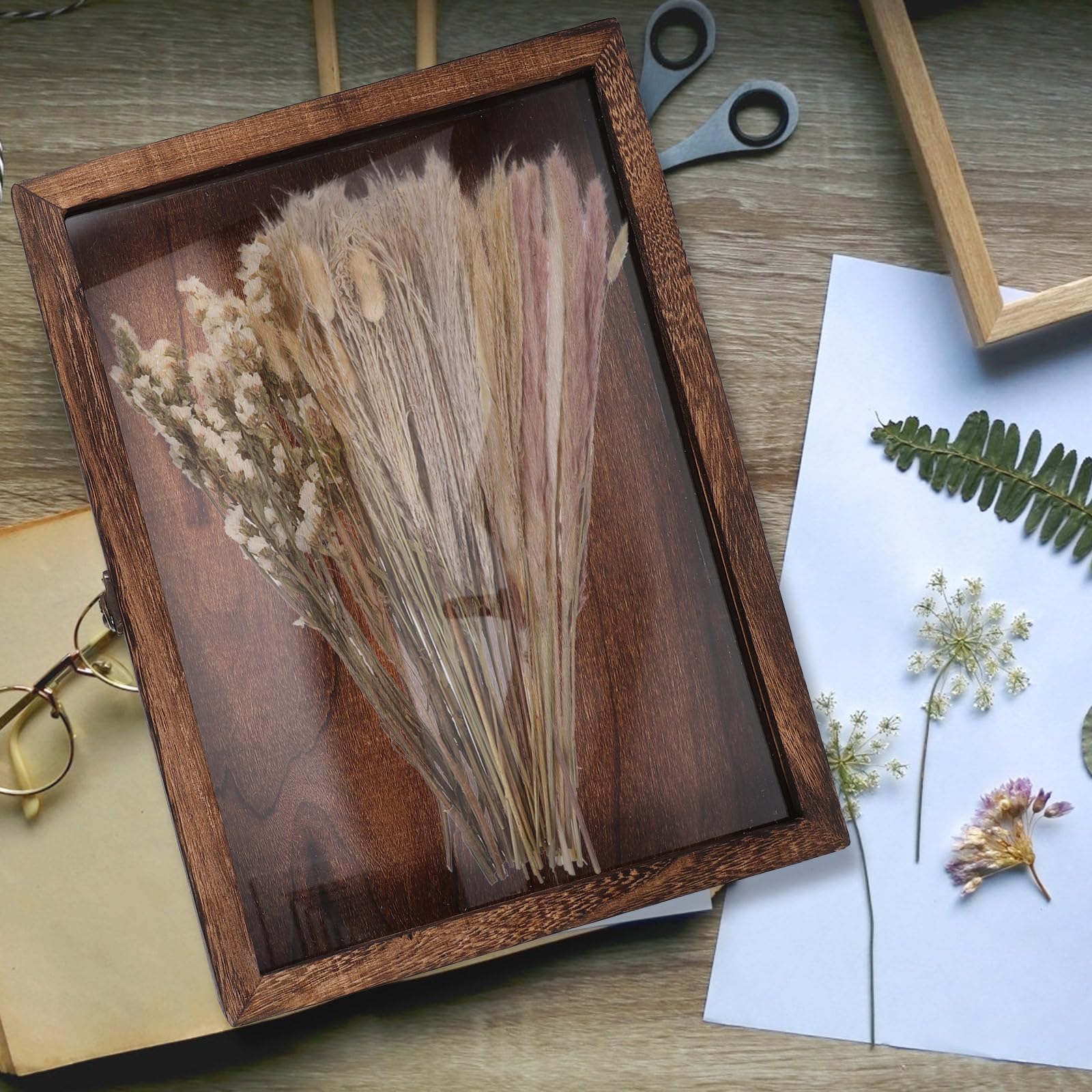 FRCOLOR Vitrina de exhibición de muestras y Caja de colección compacta de Madera con Tapa Transparente y Cierre para Joyas y Monedas Varios Estilos