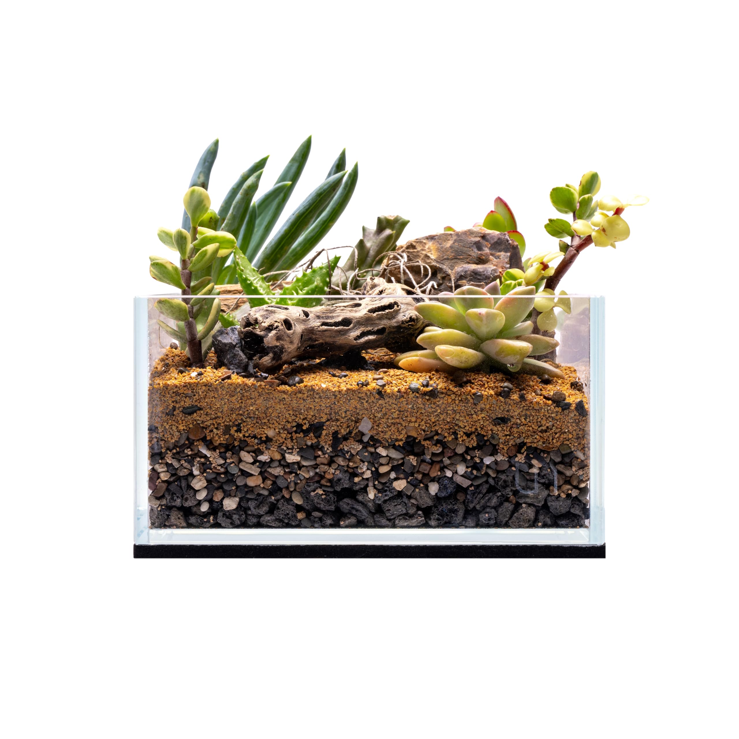 Ultum Nature Systems 16S Rimless Aquarium - 0.7 Gallon Nano Tank, 5mm Thick Ultra Clear Low Iron Glass Aquarium, Rimless Aquarium Kit w/Black Leveling Mat - Tank Measures 6.3 in x 6.3 in x 3.94 in