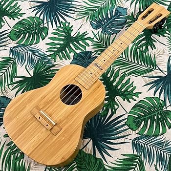 【Andrew】オールバンブー(竹材)のコンサートウクレレ【ウクレレ専門店】 Amazon.co.jp: Andrew ukulele オールバンブー 竹 のエレキ