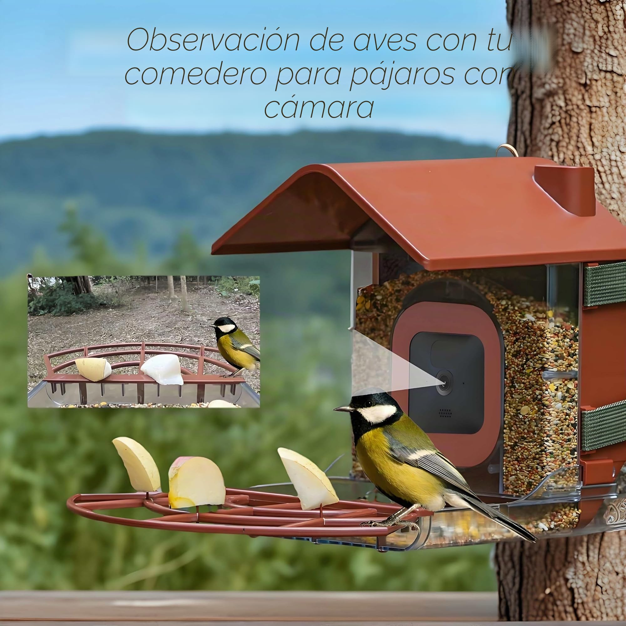 Comedero Pájaros con Cámara Casa Exterior Compatible con Soporte Cámara Blink Impermeable Gran Capacidad 1.6LB Estación Monitoreo Fauna (Cámara no Incluida)