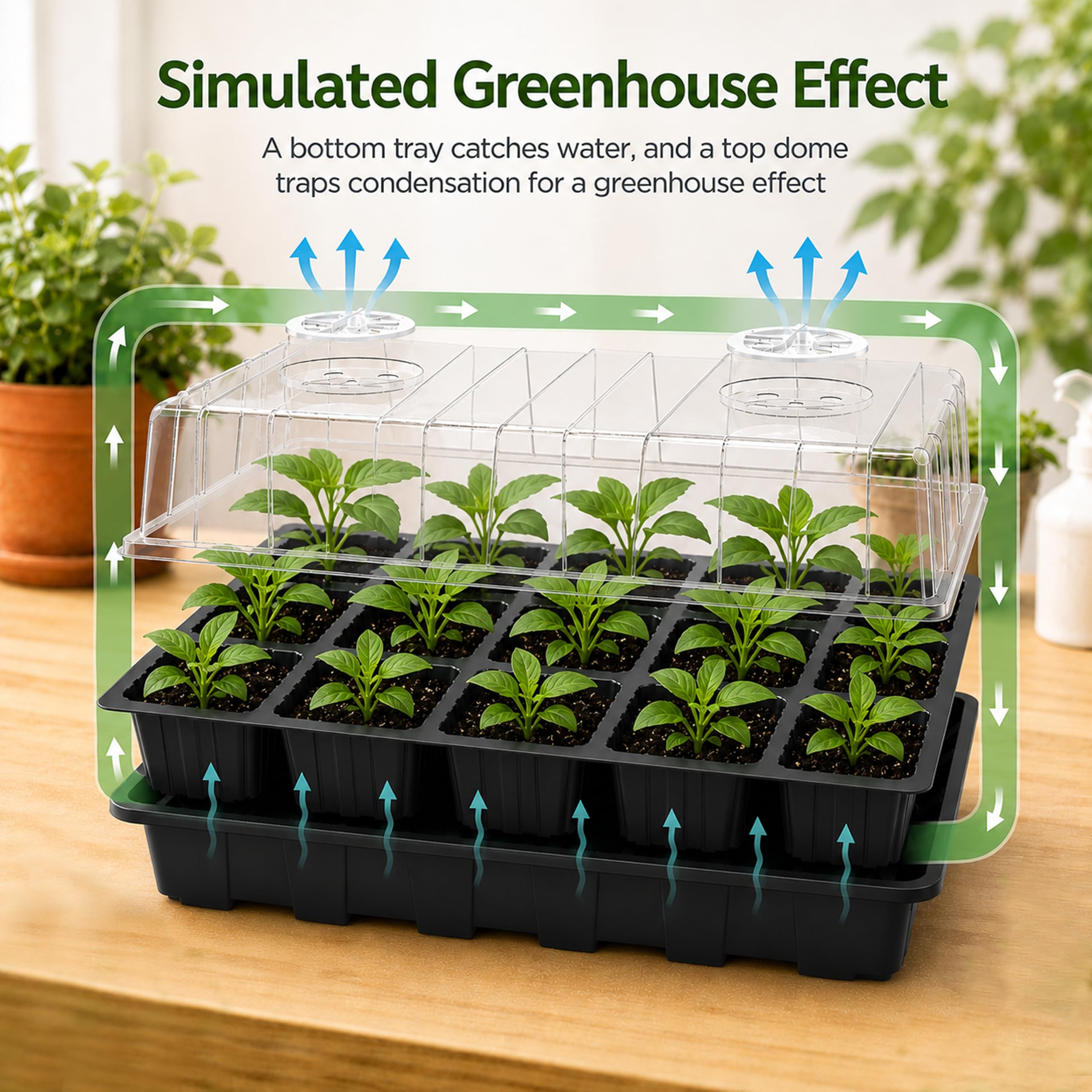 Gardzen Anzuchtkastenset für den Garten, Samen-Starterset, Keimschalen, mit Deckel und Wanne | Wiederverwendbares Pflanzenkeimset mit Feuchtigkeitskuppeln und Sockeln zum Starten von Samen, 38,1 x 22,9 cm Tablett