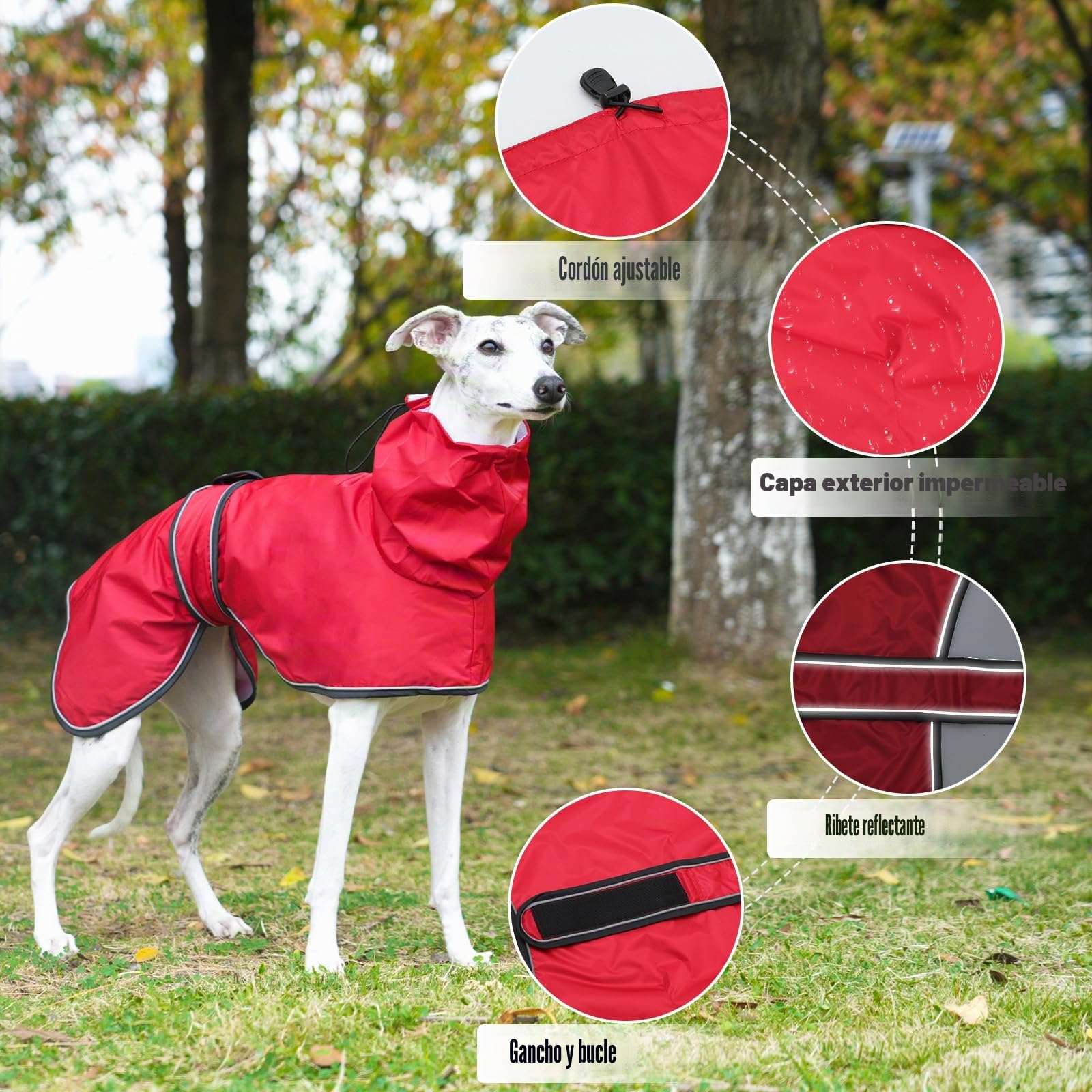 Chubasquero Ligero para Perros,con Correas Reflectantes y Agujero para el arnés, Pull-Over/Chaqueta Galgos, Lurcher y Whippet,para Perros Medianos y Grandes-Rojo-M