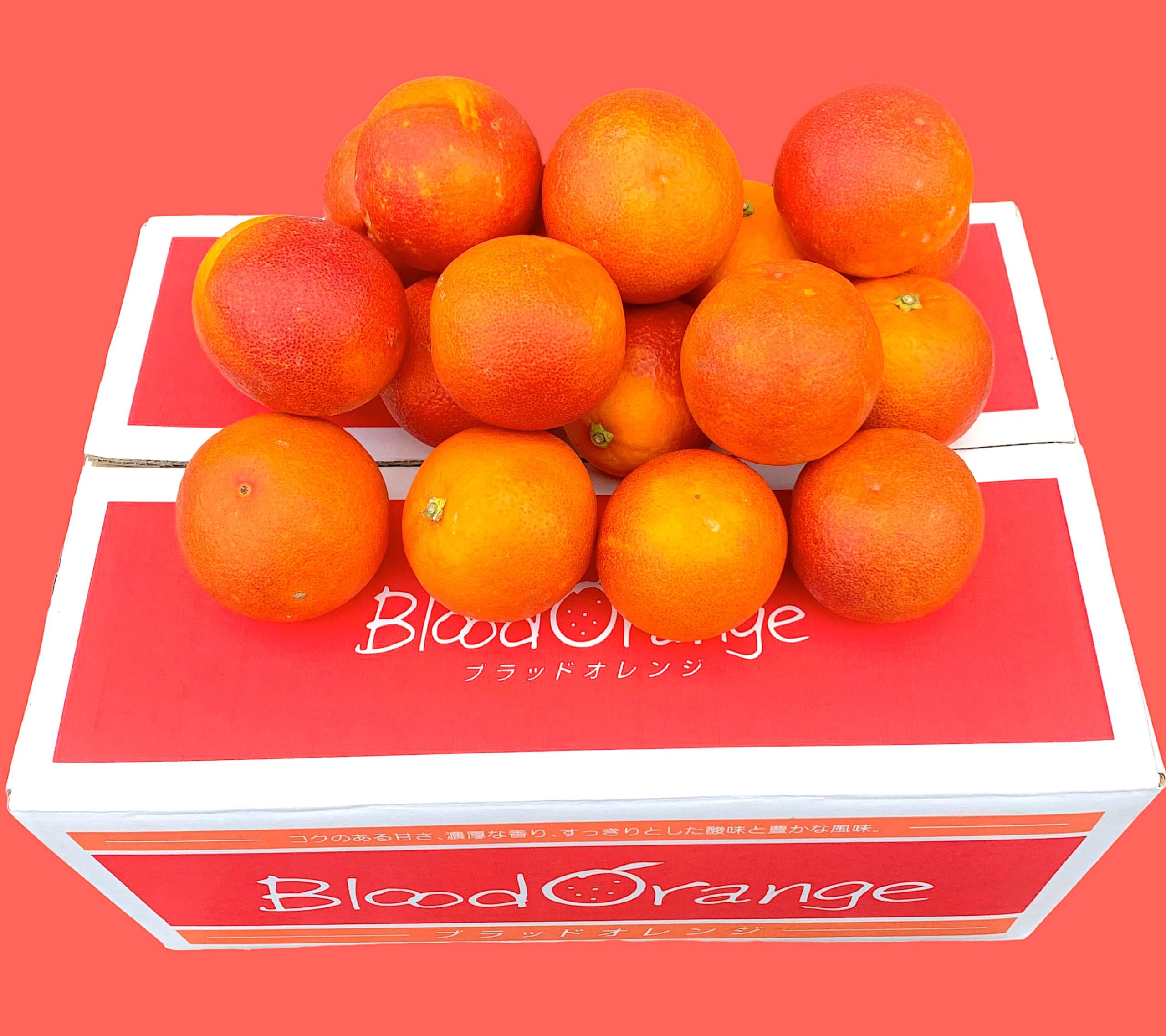 Amazon.co.jp: 【ブラッドオレンジ】国産 愛媛県1.1kg（秀品