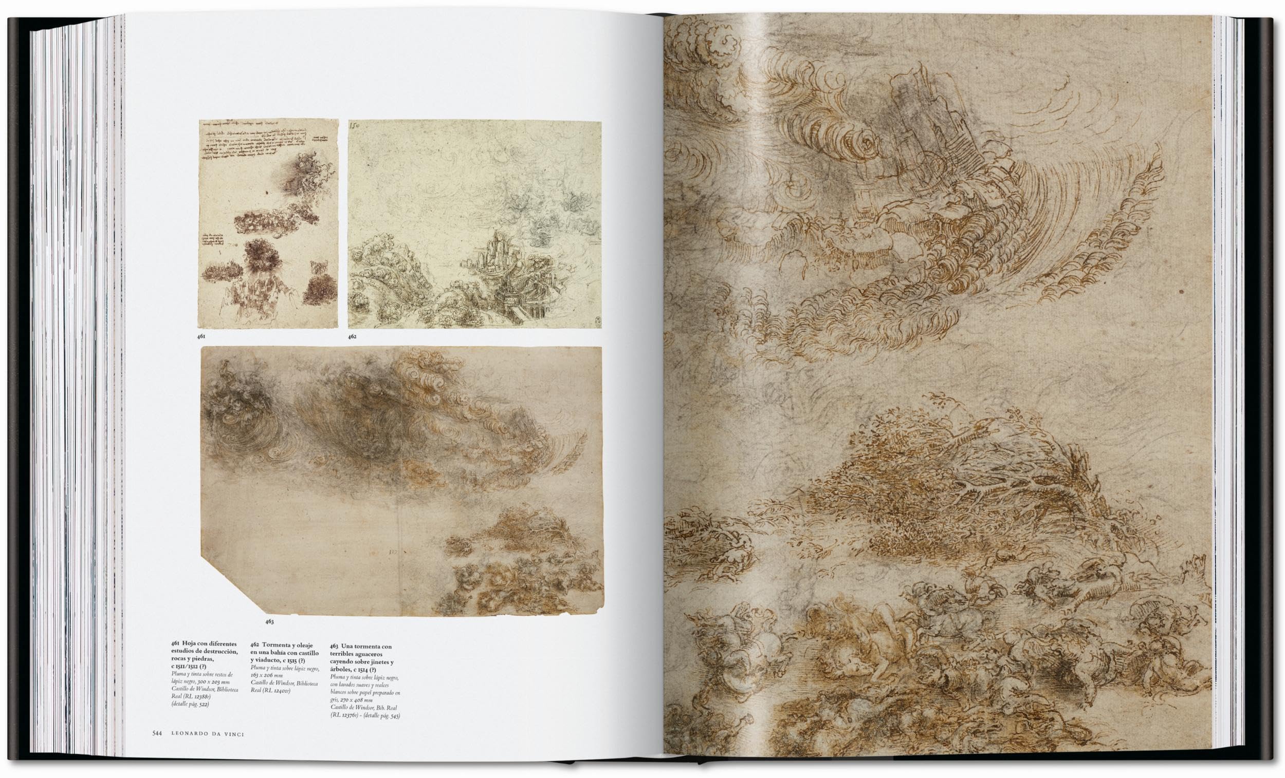 Leonardo: Obra pictórica completa y obra gráfica
