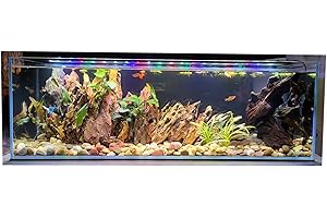 LIFEGARD Bookshelf Aquarium Entertainment Center: A Crystal-Clear Window to the Marine World