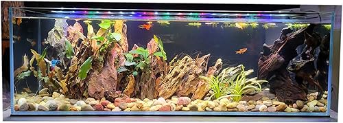 Estantería de vidrio de hierro bajo de 6 galones, acuario de 0.197 in - (29.92 x 5.90 x 7.87 pulgadas)