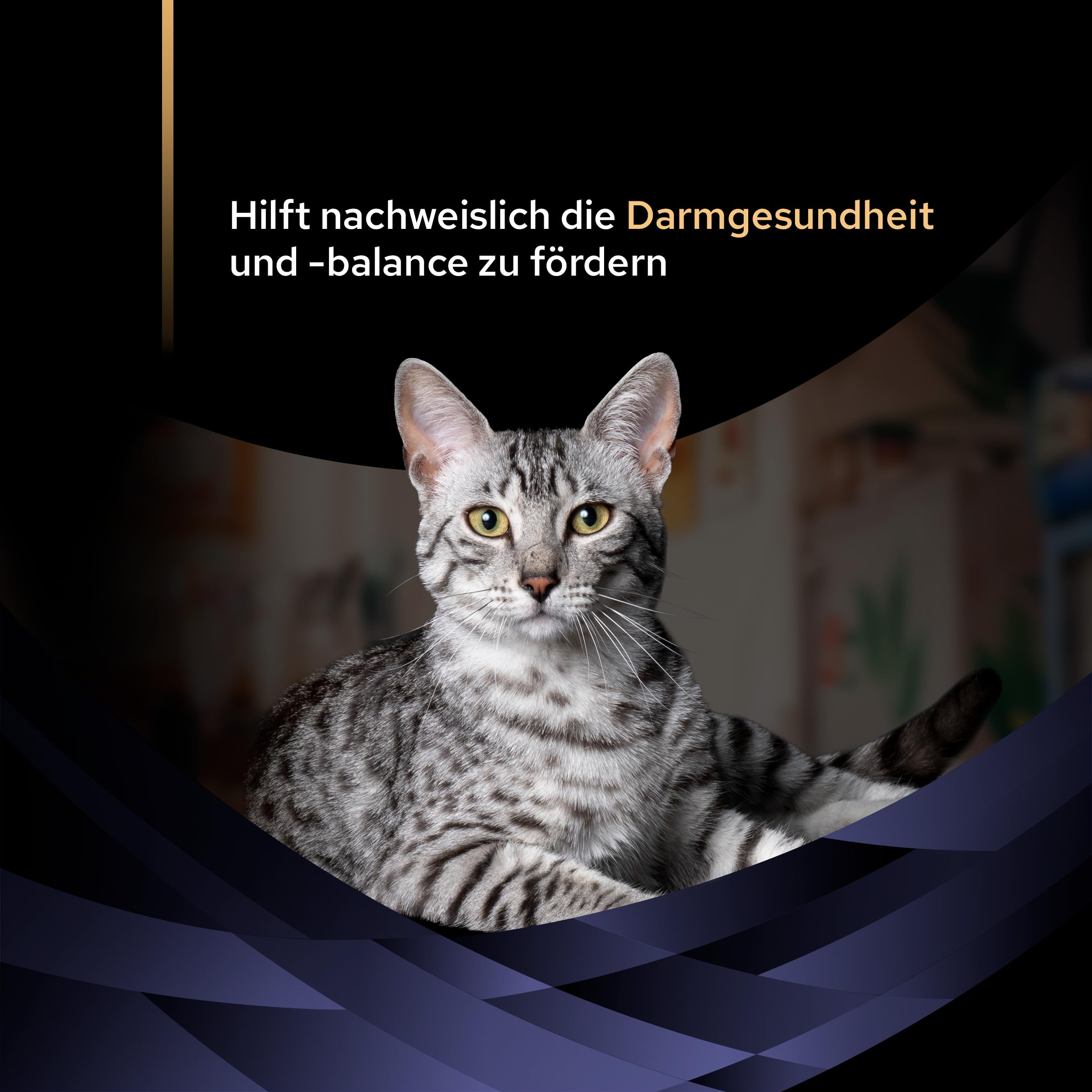 Purina - PRO PLAN Forti Flora Chews Katze | 30 Kautabletten | Ergänzungsfuttermittel für Katzen | Mit Enterococcus lactis