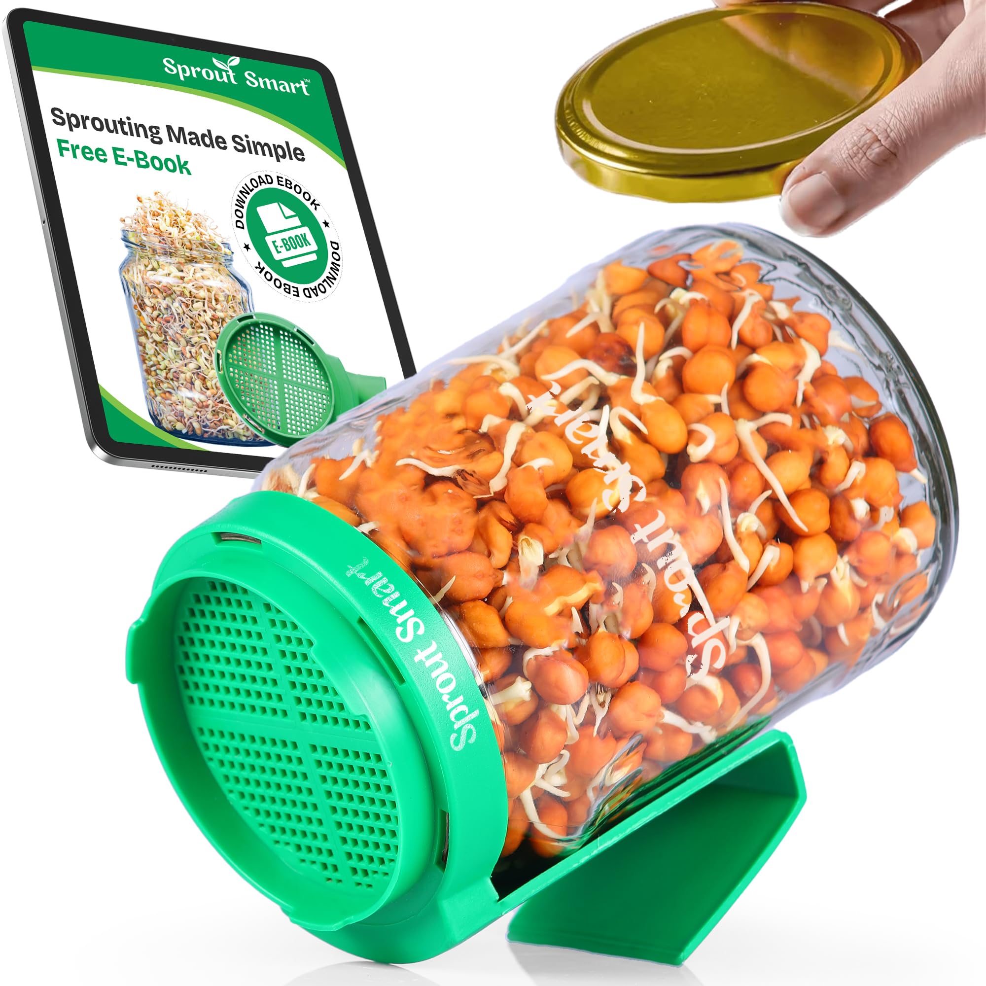Sprouts Maker Glass Jar 720ml Durable & Reusable Sprouter for All Seed