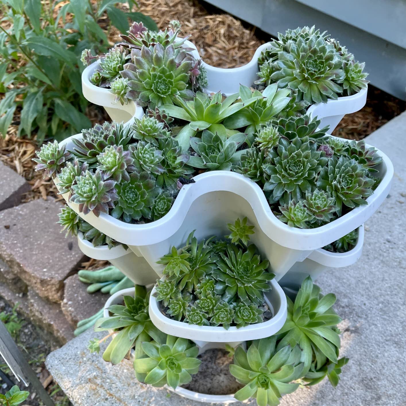 Mr. Stacky windowsill setup
