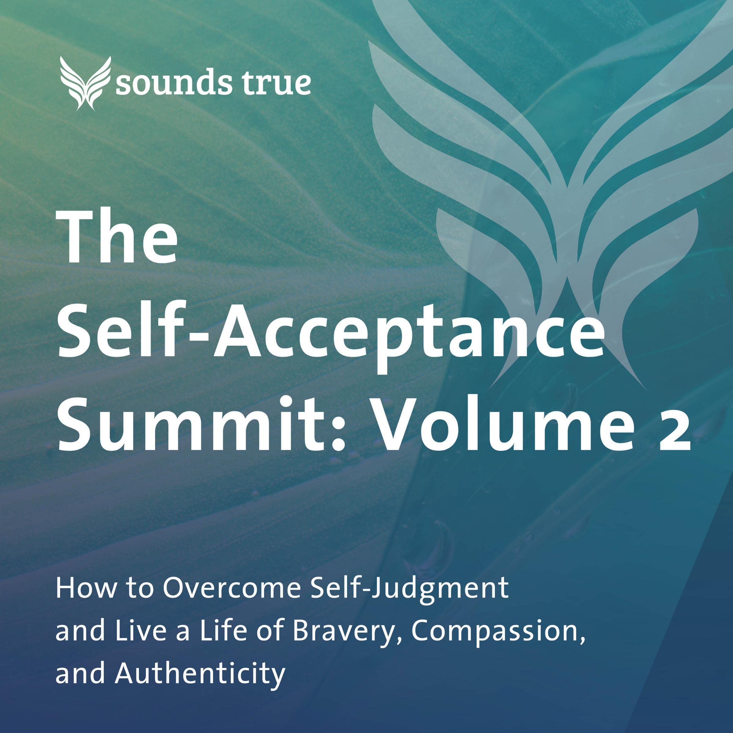 The Self-Acceptance Summit: Volume 2