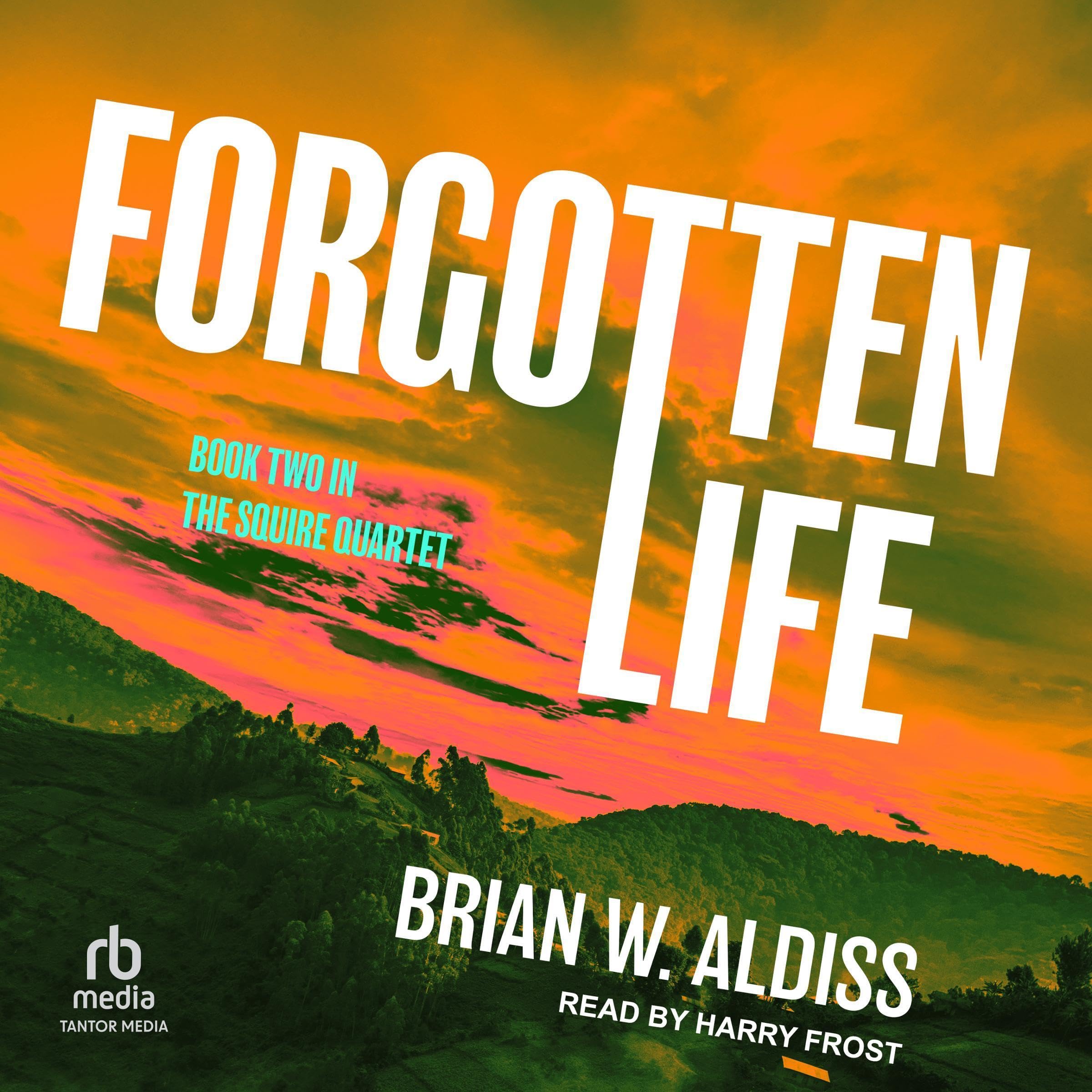 Cover art for Forgotten Life