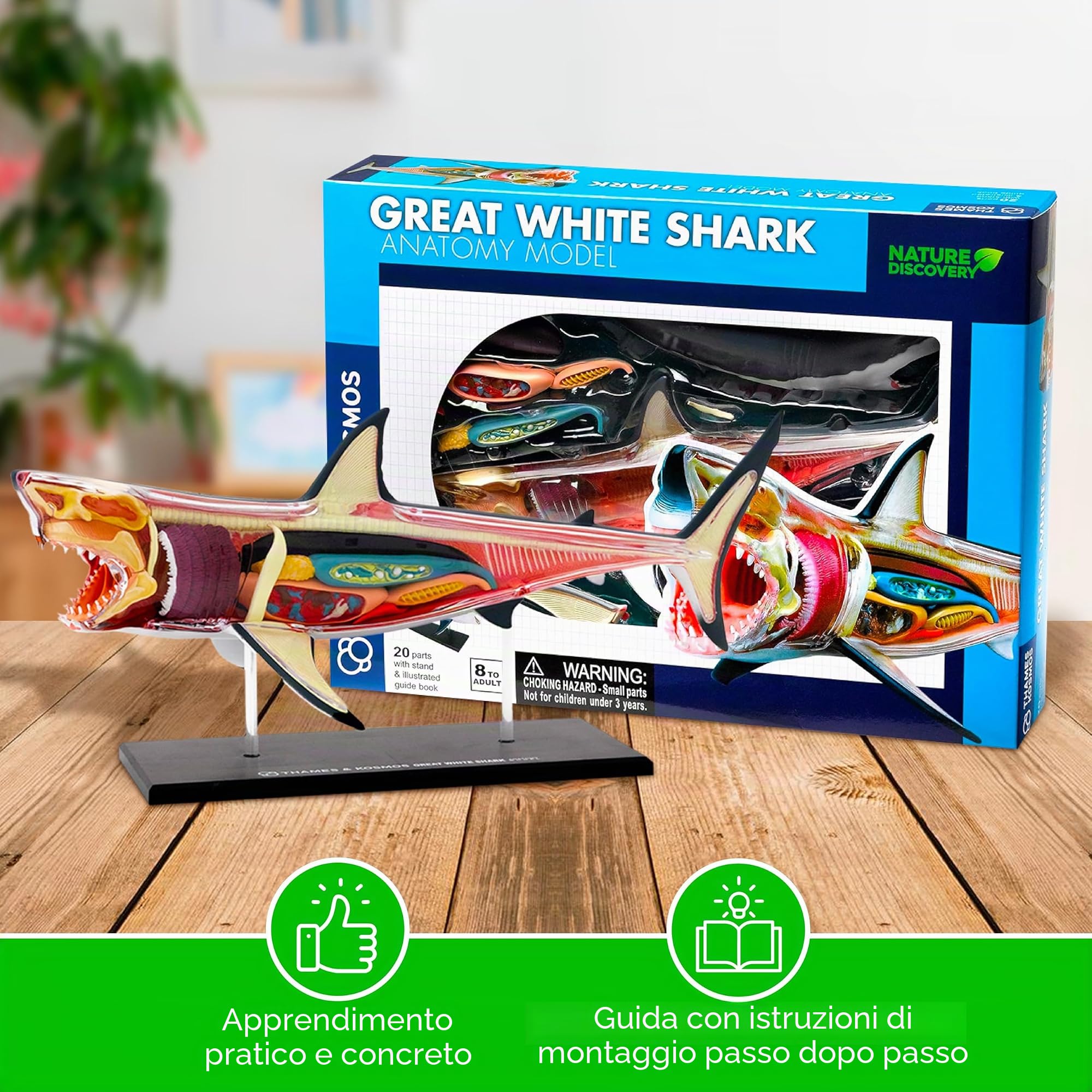 Thames & Kosmos , 261110 , Great White Shark Anatomy Model , 20 Parts with Stand and Illustrated Guide Book , Nature Discovery Range , Detachable Parts , 3D Models , Ages 8+