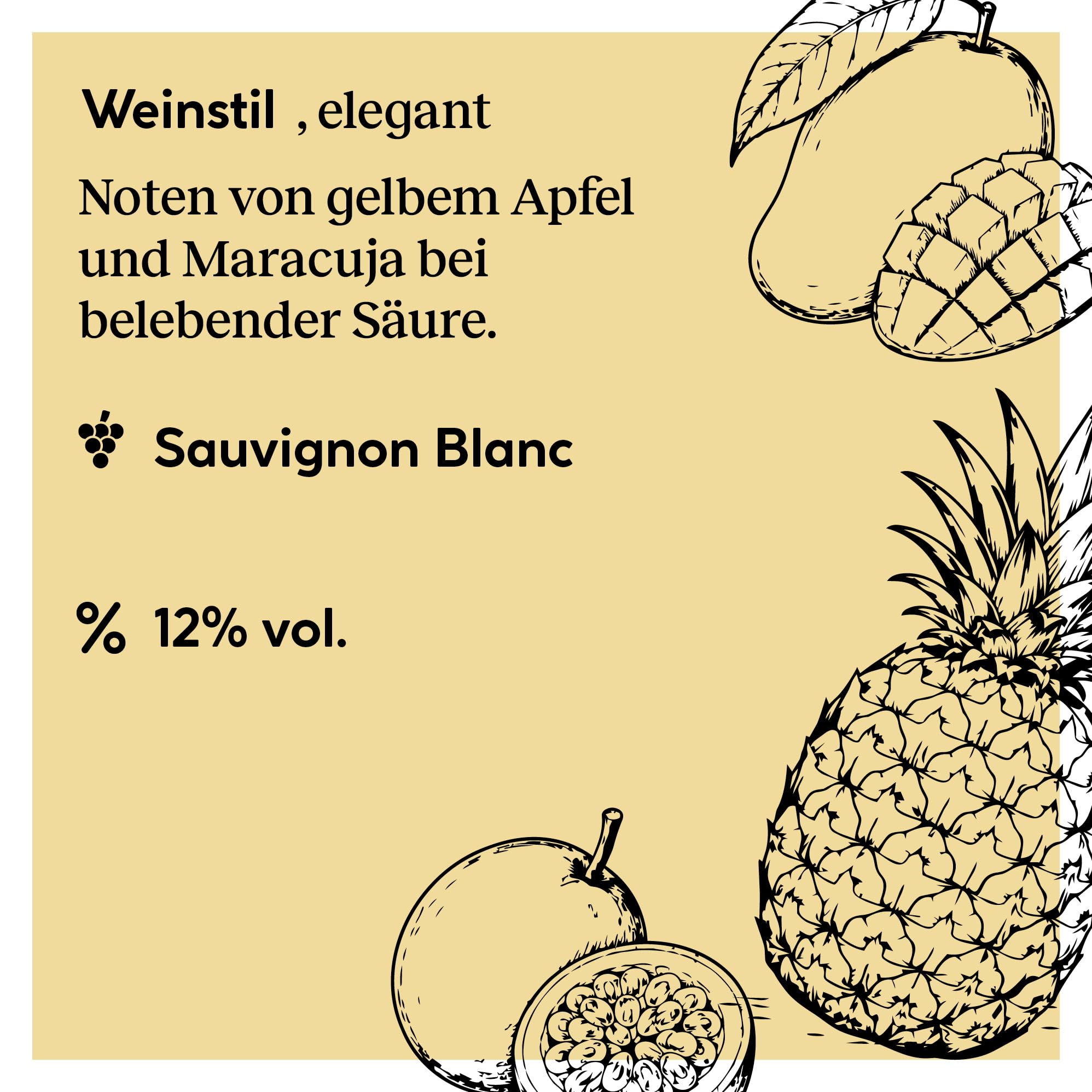 Delinat Maison Coulon Sauvignon Blanc 2024 – Französischer Bio-Weißwein trocken aus dem Languedoc – Spritzig, ausgewogen & fruchtig – Veganer Qualitätswein (6 x 0,75l)