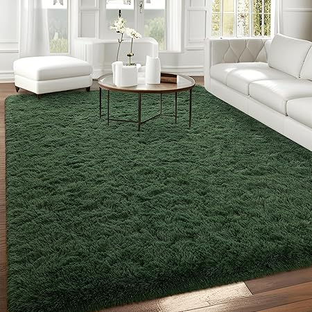 Amazon.com: FALARK Super Soft Area Rugs for Bedroom Living Room, 5x7 ft ...
