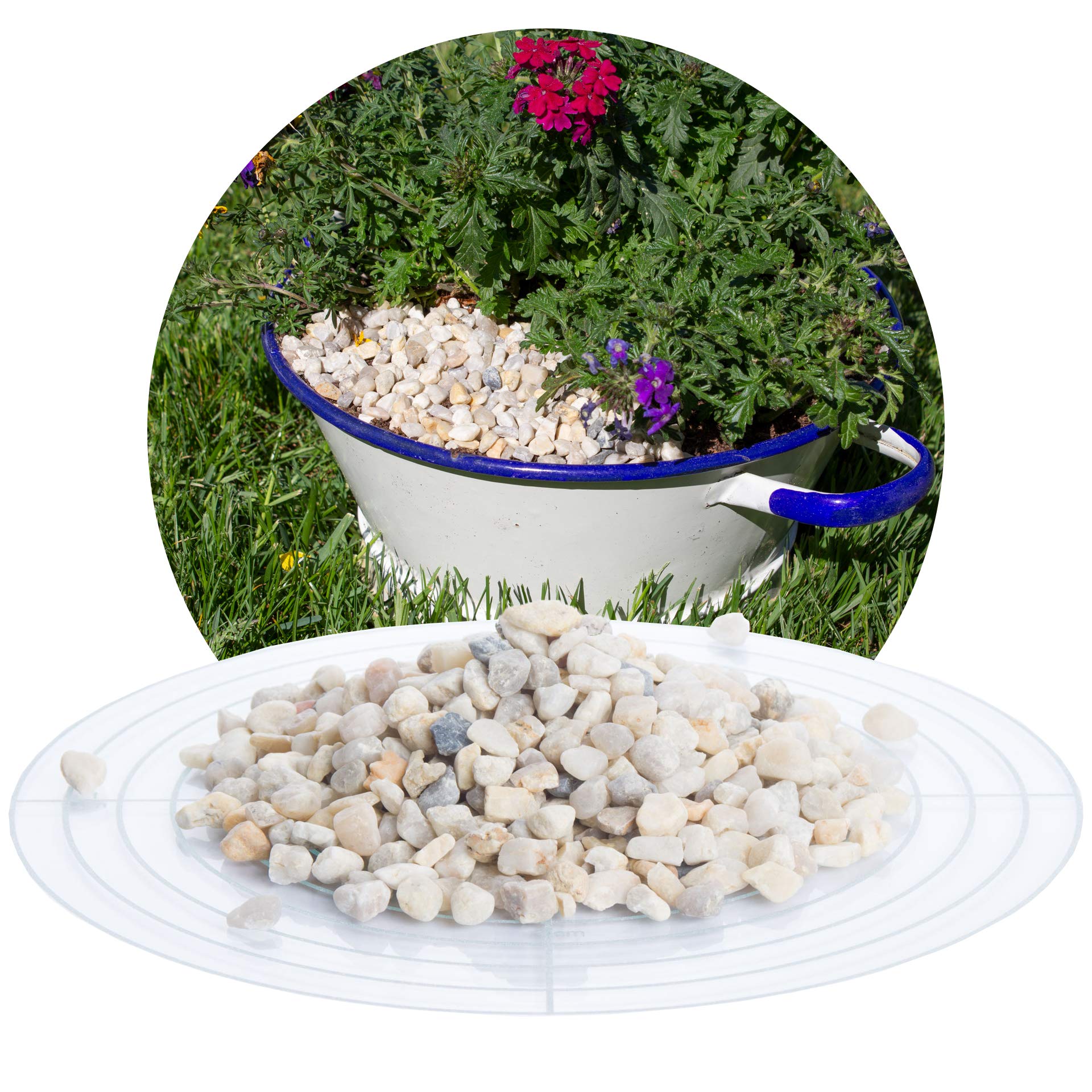 Schicker Mineral Quarz Zierkies beige 25 kg, Kies, natürlich, gerundet, farbechter Naturstein, witterungsbeständig, ideal zur Gartengestaltung, Dekokies für Haus & Garten (Quarz Zierkies, 5,6-8,0 mm)