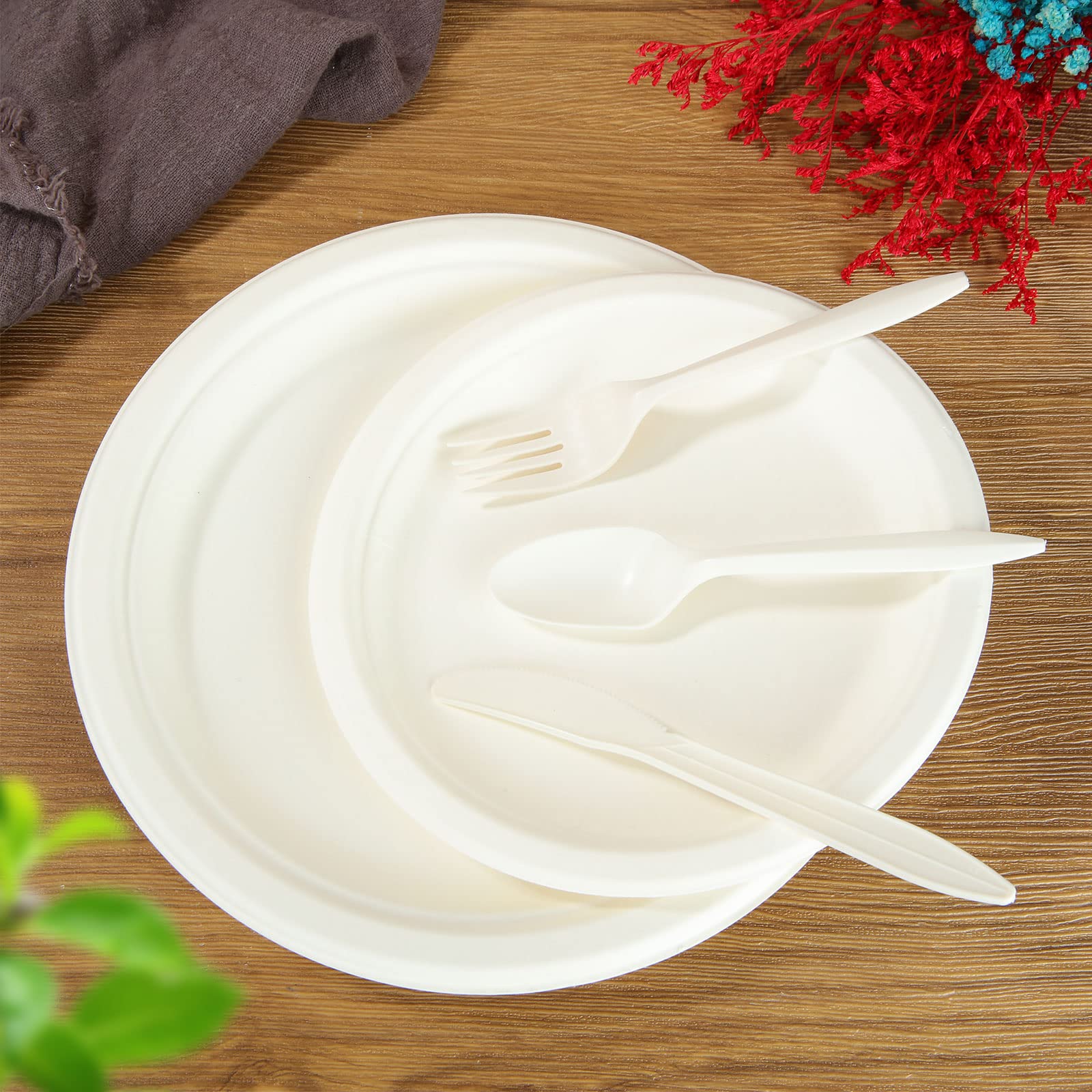 SENENQU Juego de vajilla desechable biodegradable, 250 piezas, kit de vajilla de bagazo compostable que incluye platos de papel de 7 y 9 pulgadas, tenedores, camping, picnic